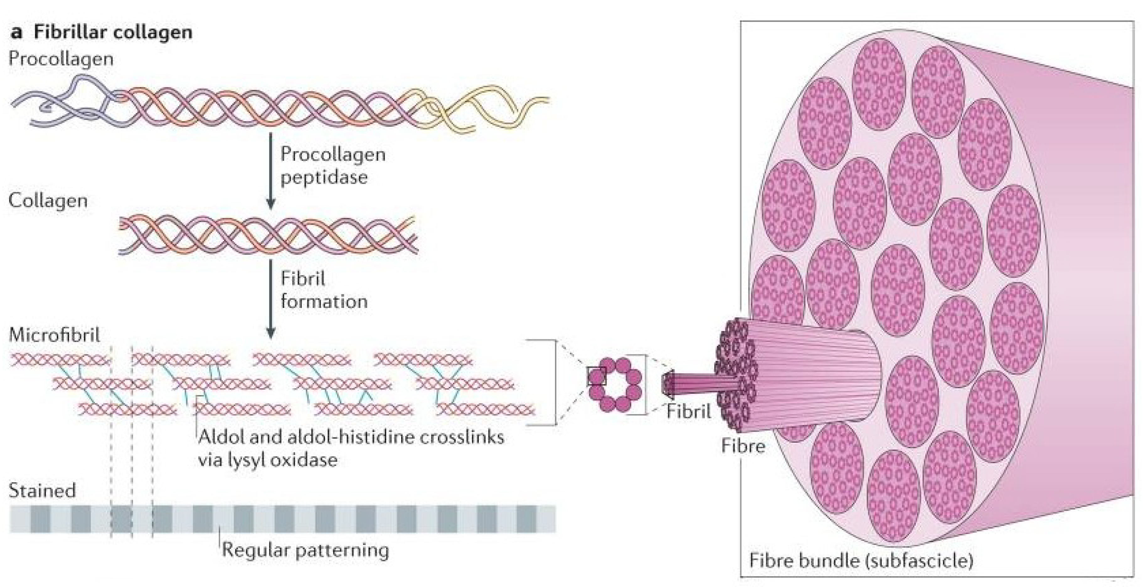 Materials 12 00253 g003 Materials 12 00253 g003