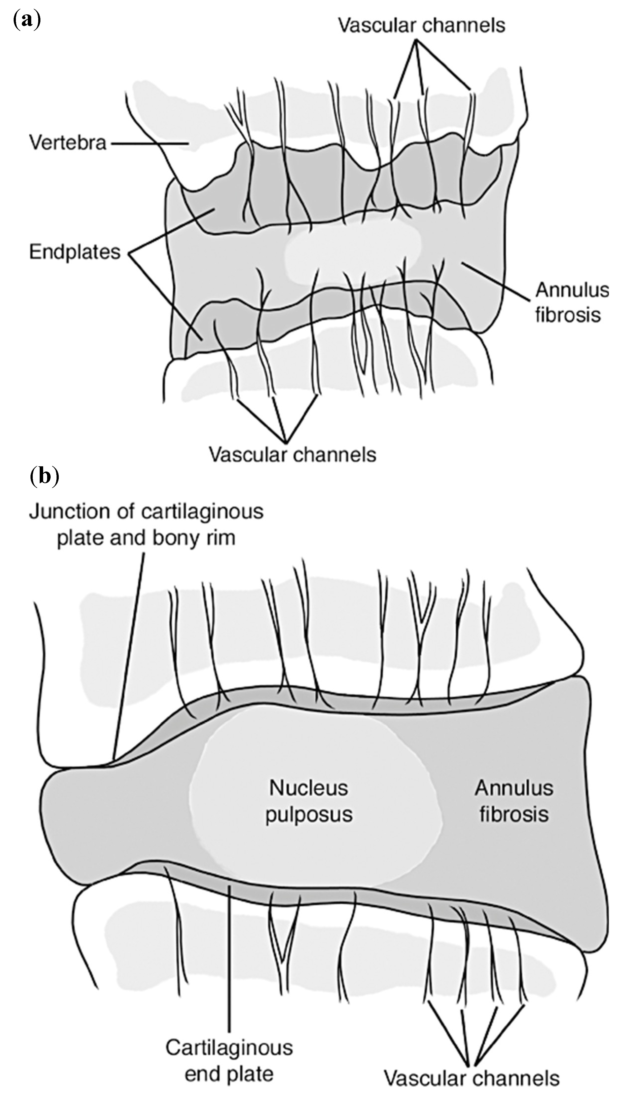 Materials 12 00253 g006 Materials 12 00253 g006