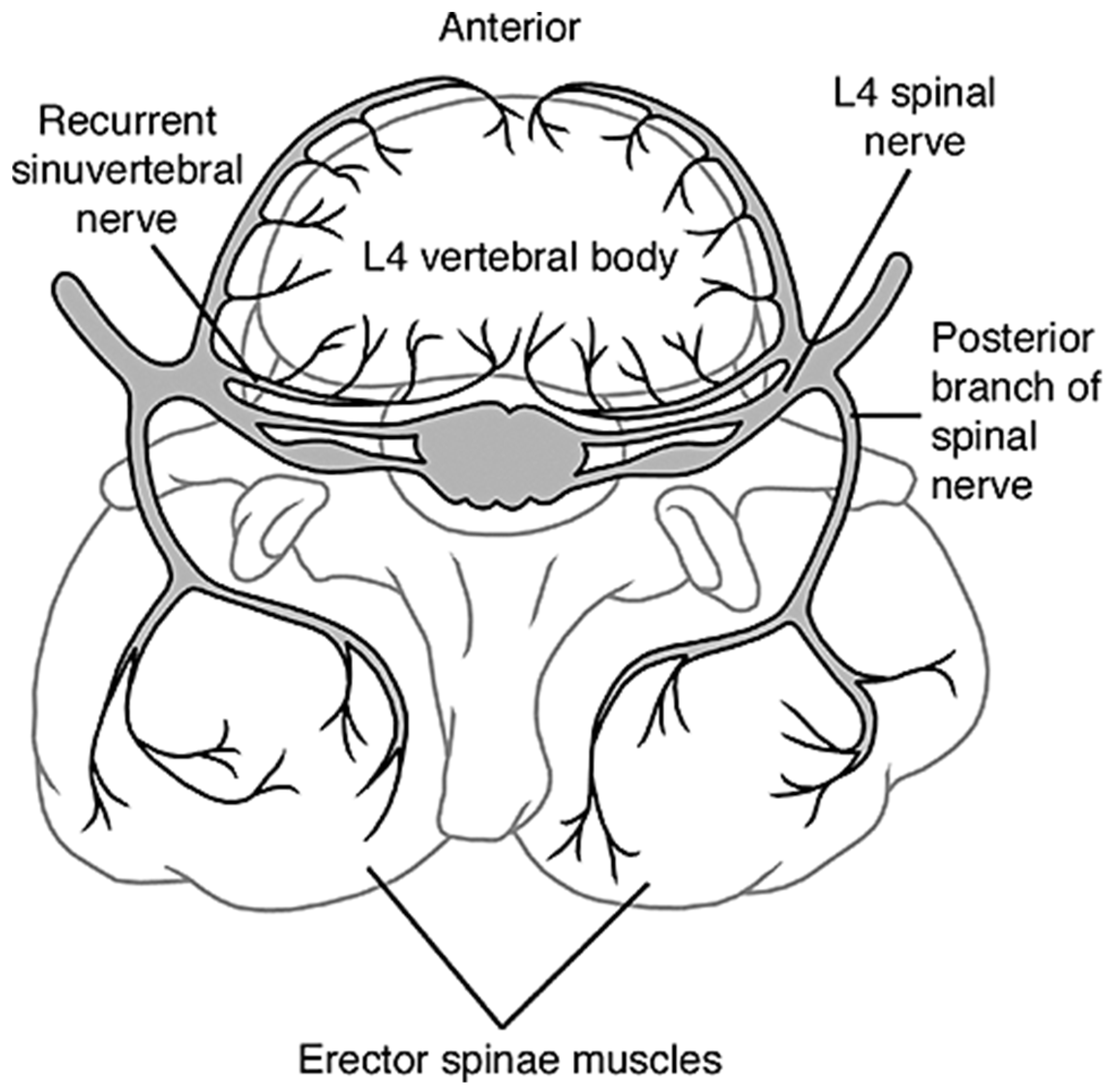 Materials 12 00253 g007 Materials 12 00253 g007