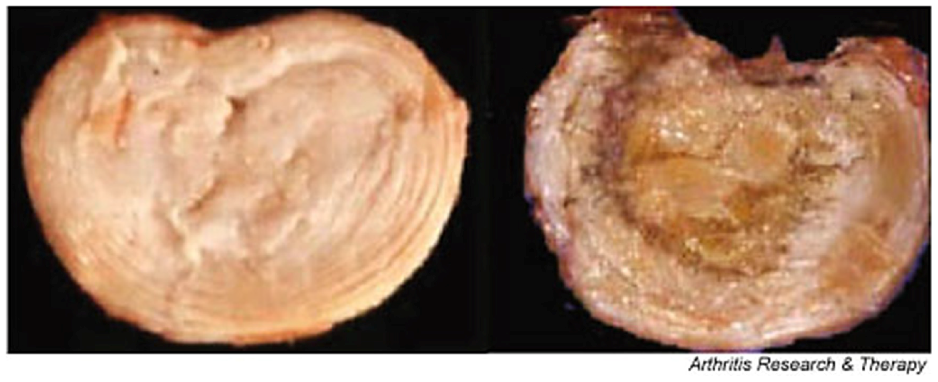 Materials 12 00253 g008 Materials 12 00253 g008