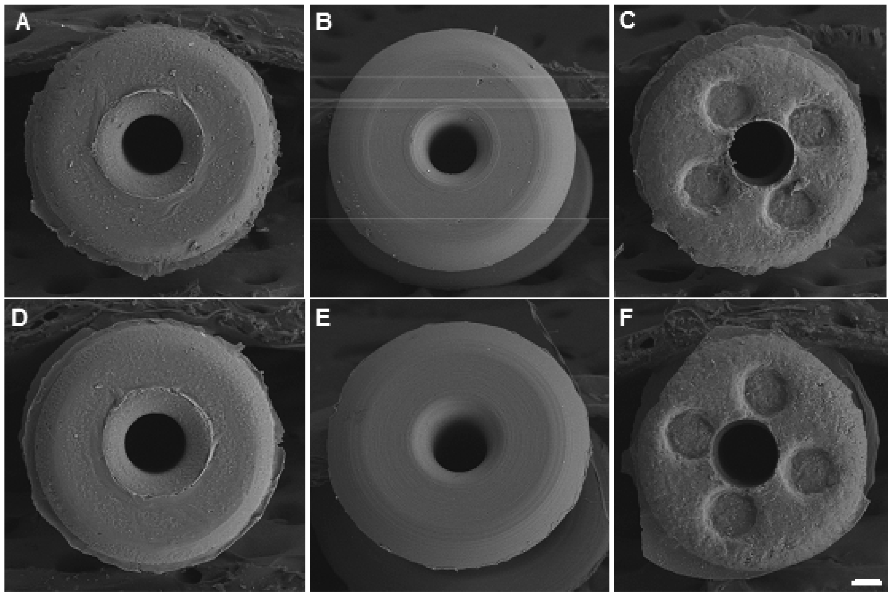 Materials 12 00274 g003 Materials 12 00274 g003