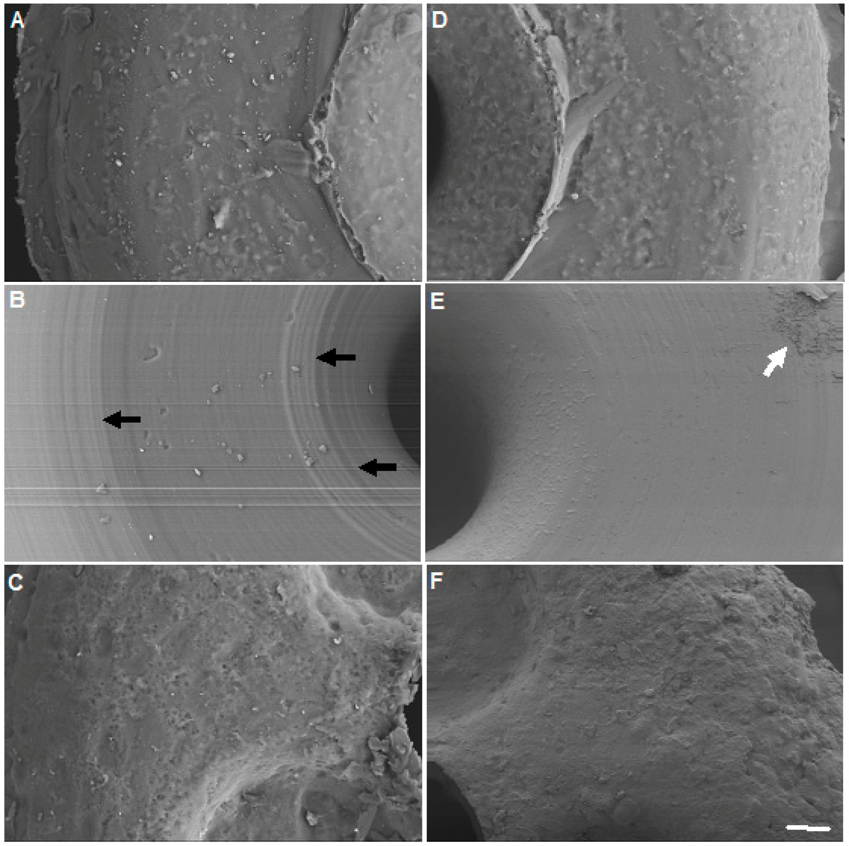 Materials 12 00274 g004 Materials 12 00274 g004