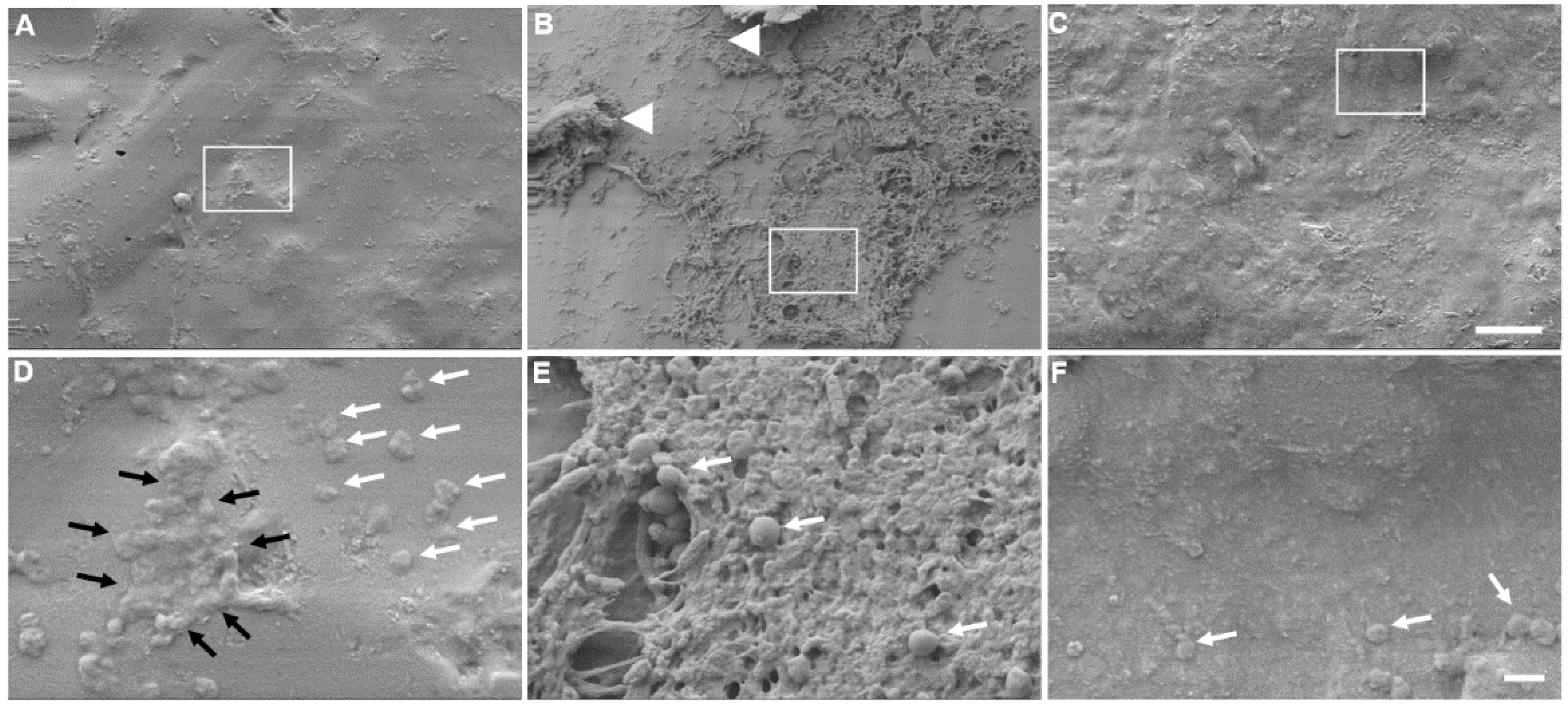 Materials 12 00274 g005 Materials 12 00274 g005