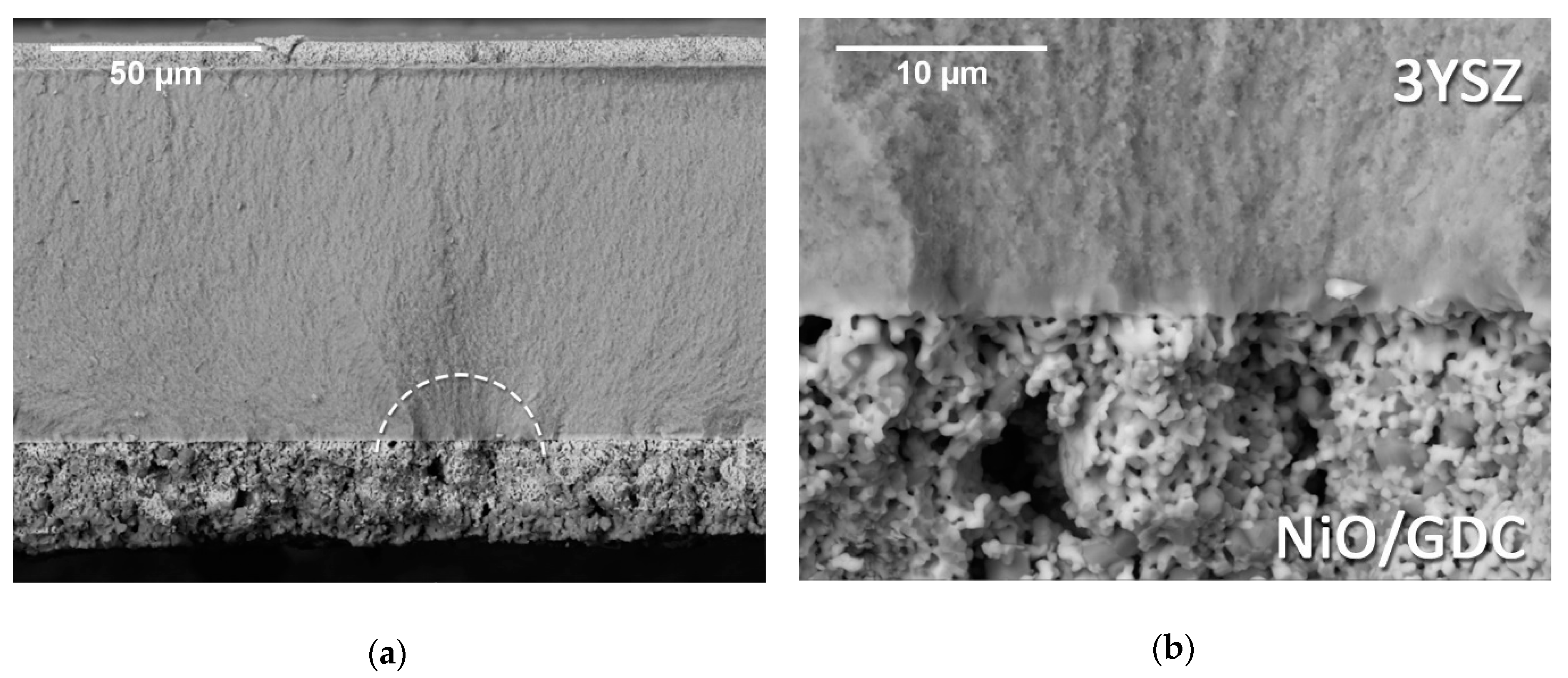 Materials 12 00306 g010 Materials 12 00306 g010