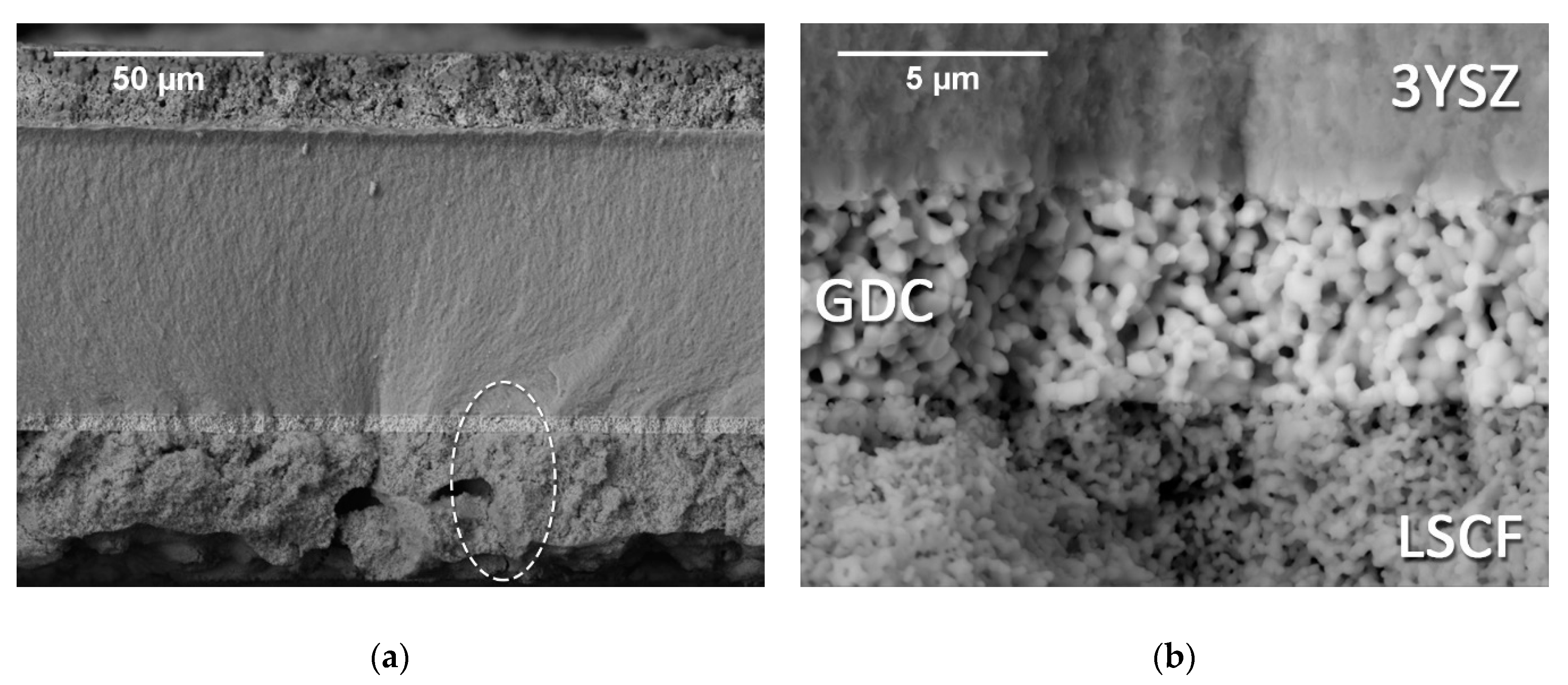 Materials 12 00306 g011 Materials 12 00306 g011