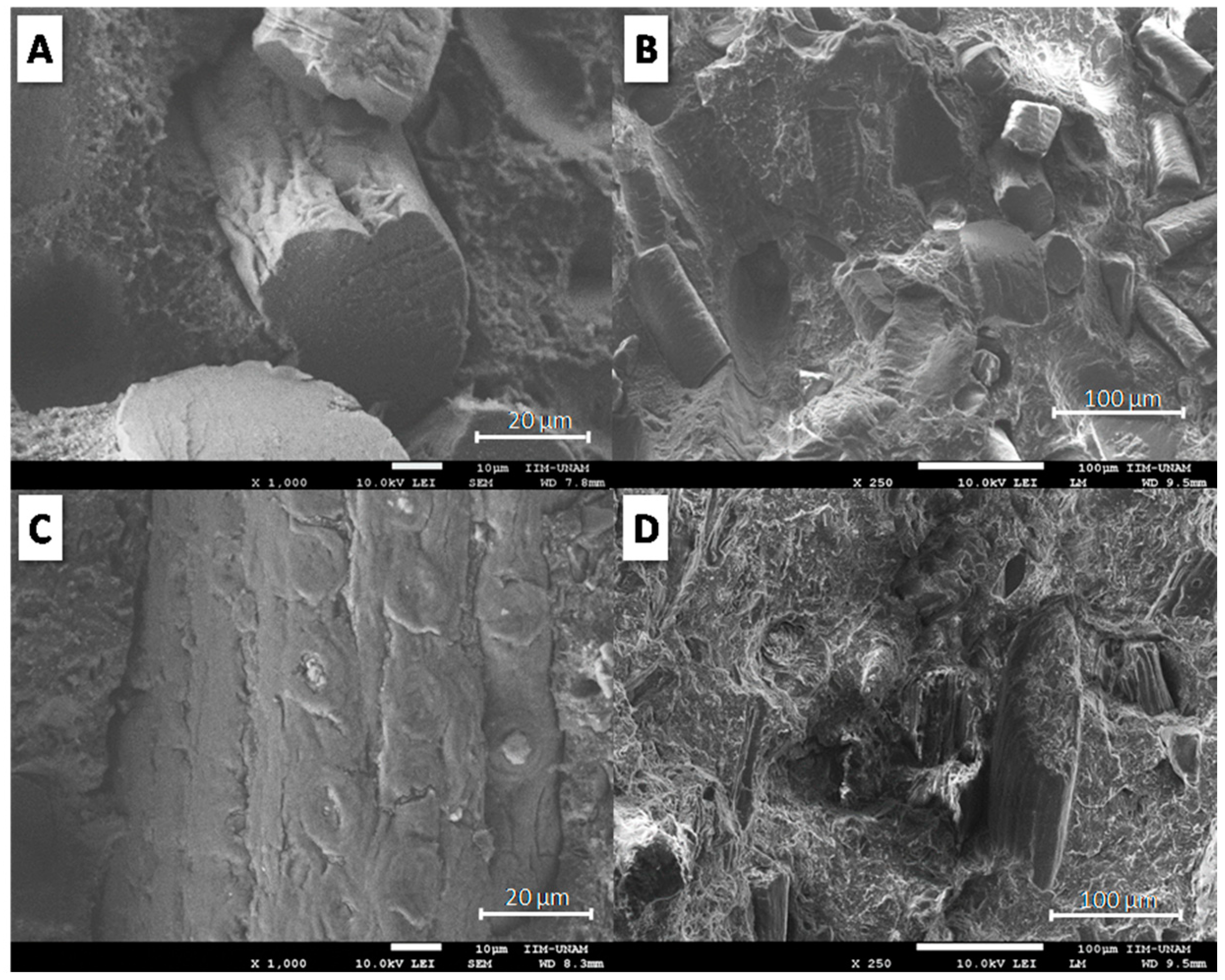 Materials 12 00344 g002 550