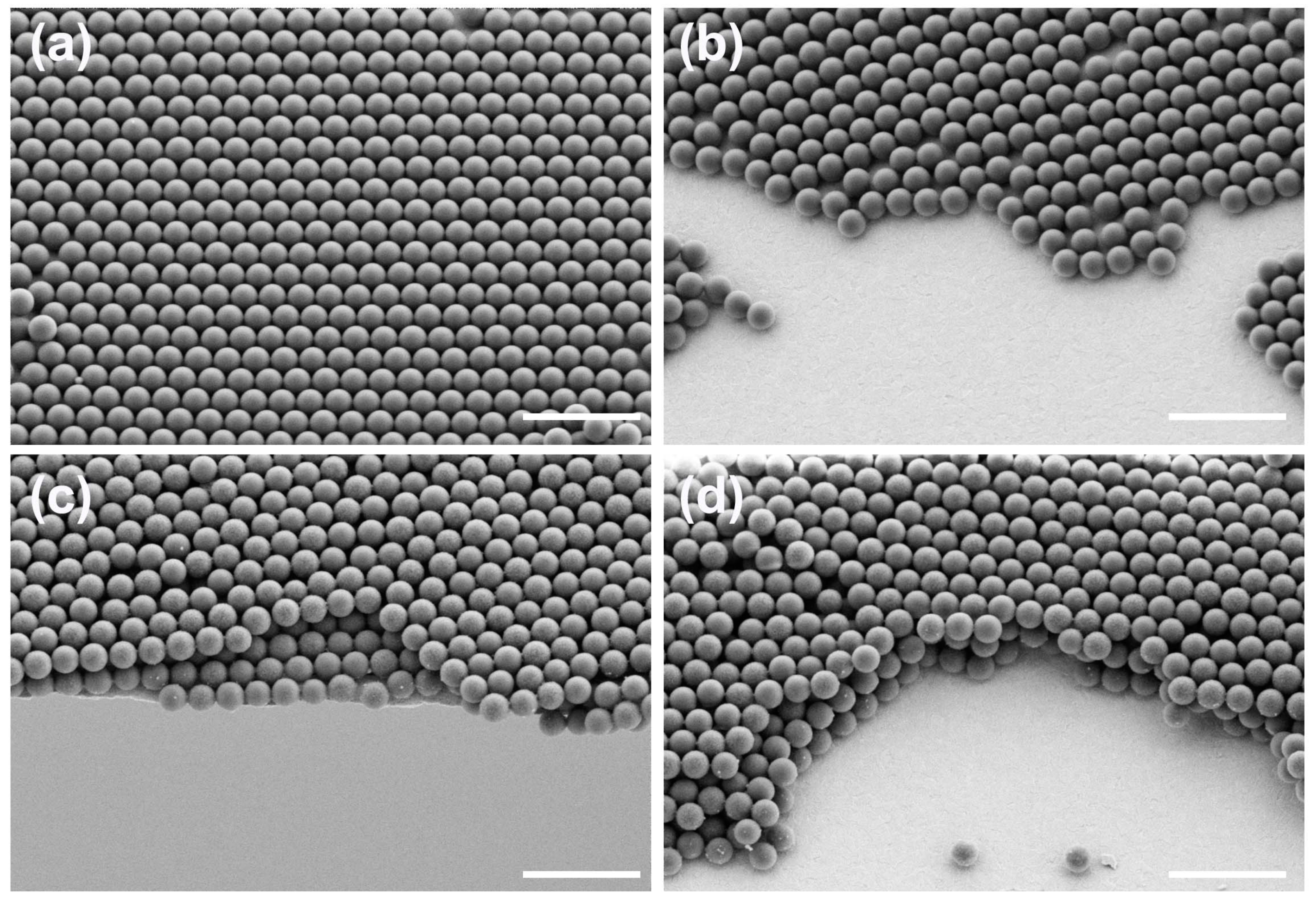 Materials 12 00362 g003