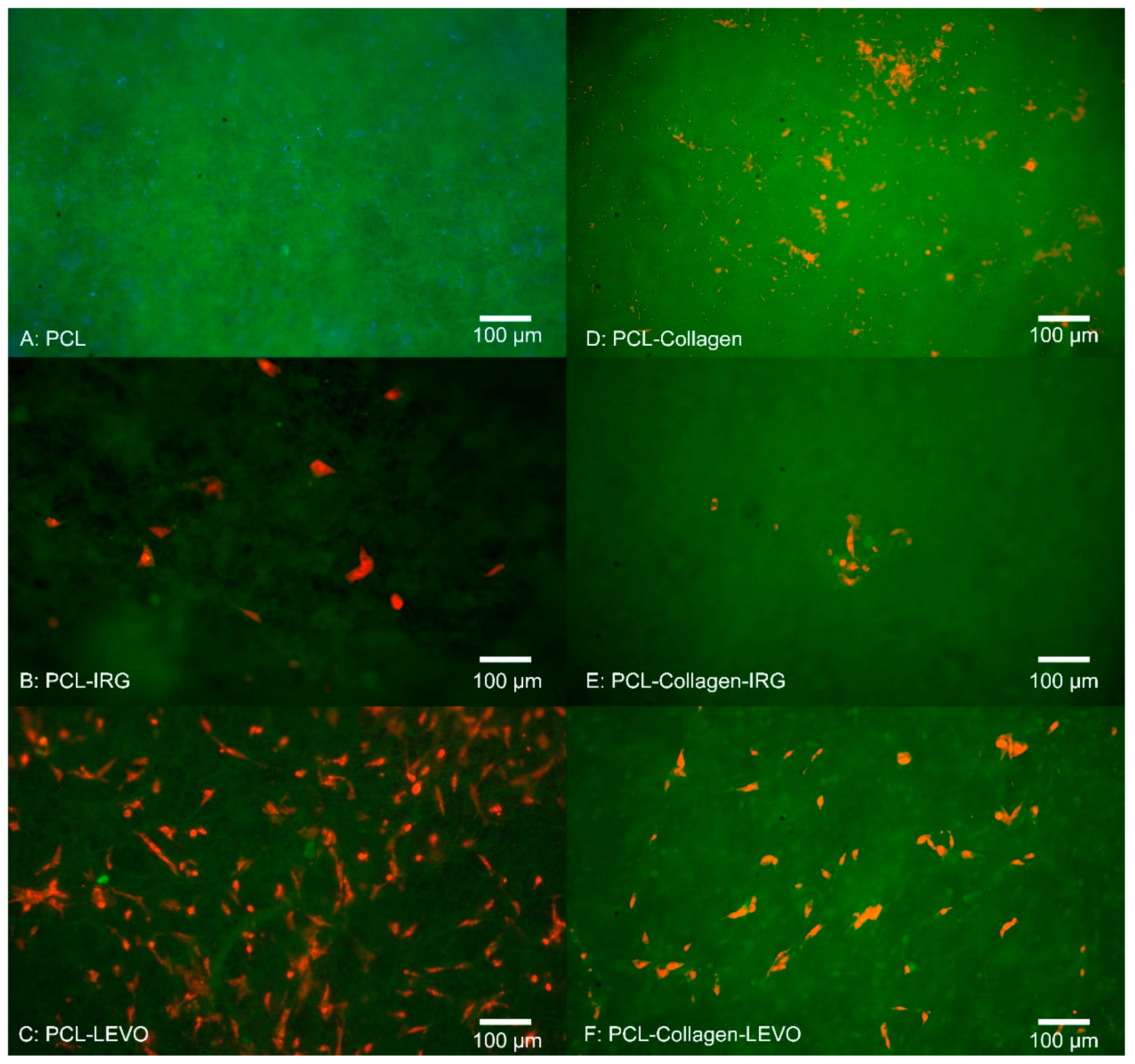 Materials 12 00363 g002