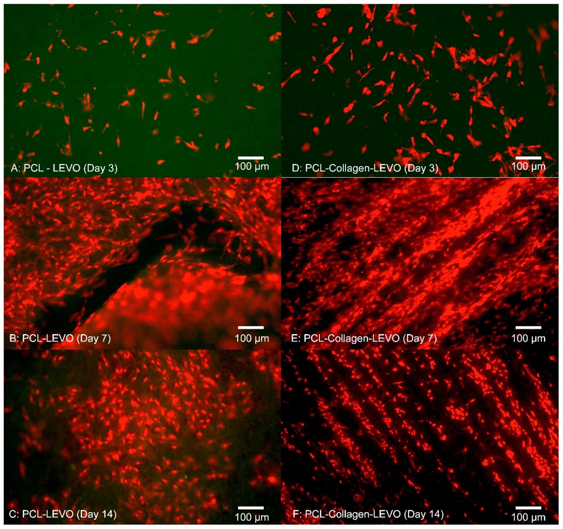 Materials 12 00363 g004