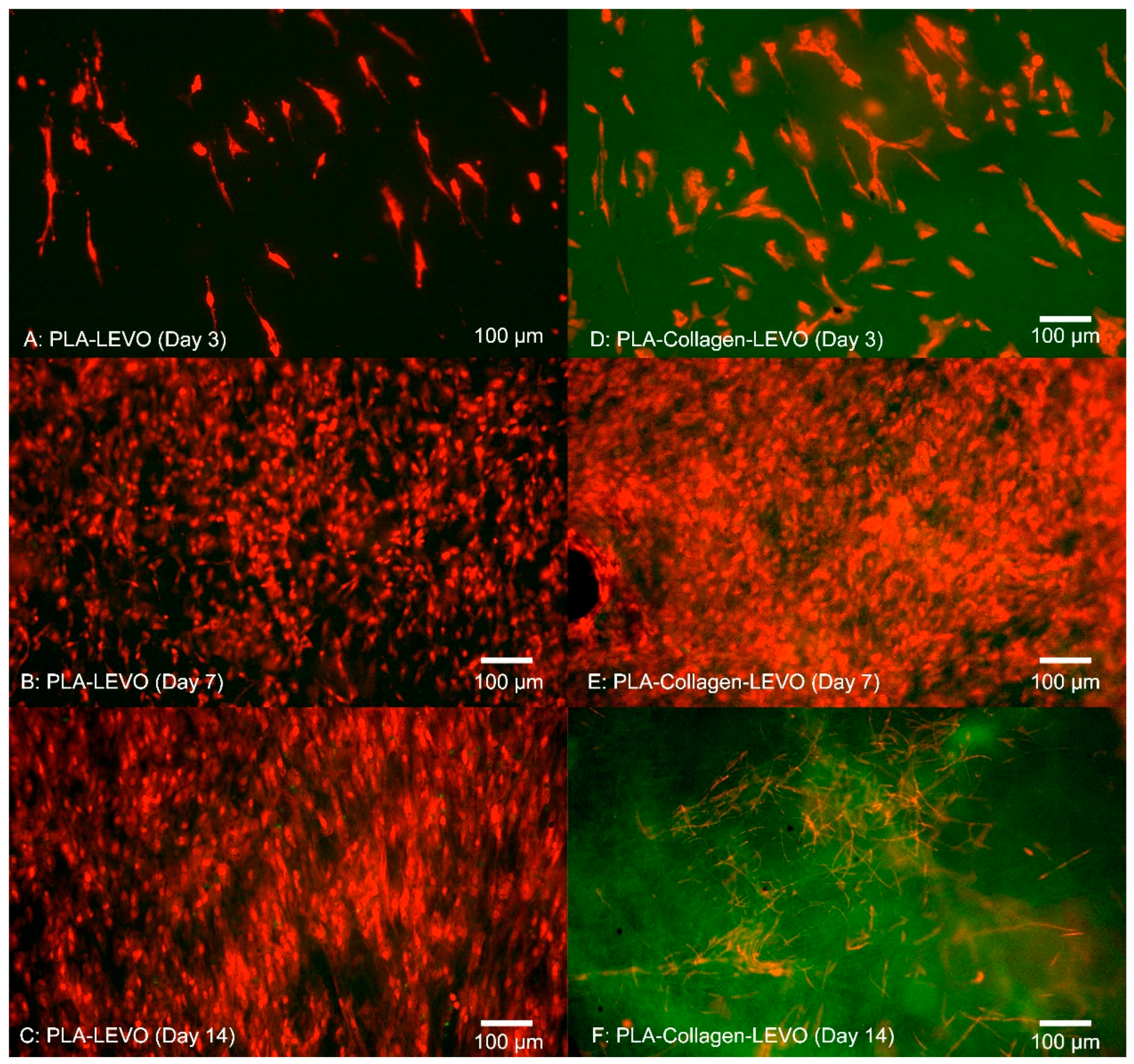 Materials 12 00363 g005