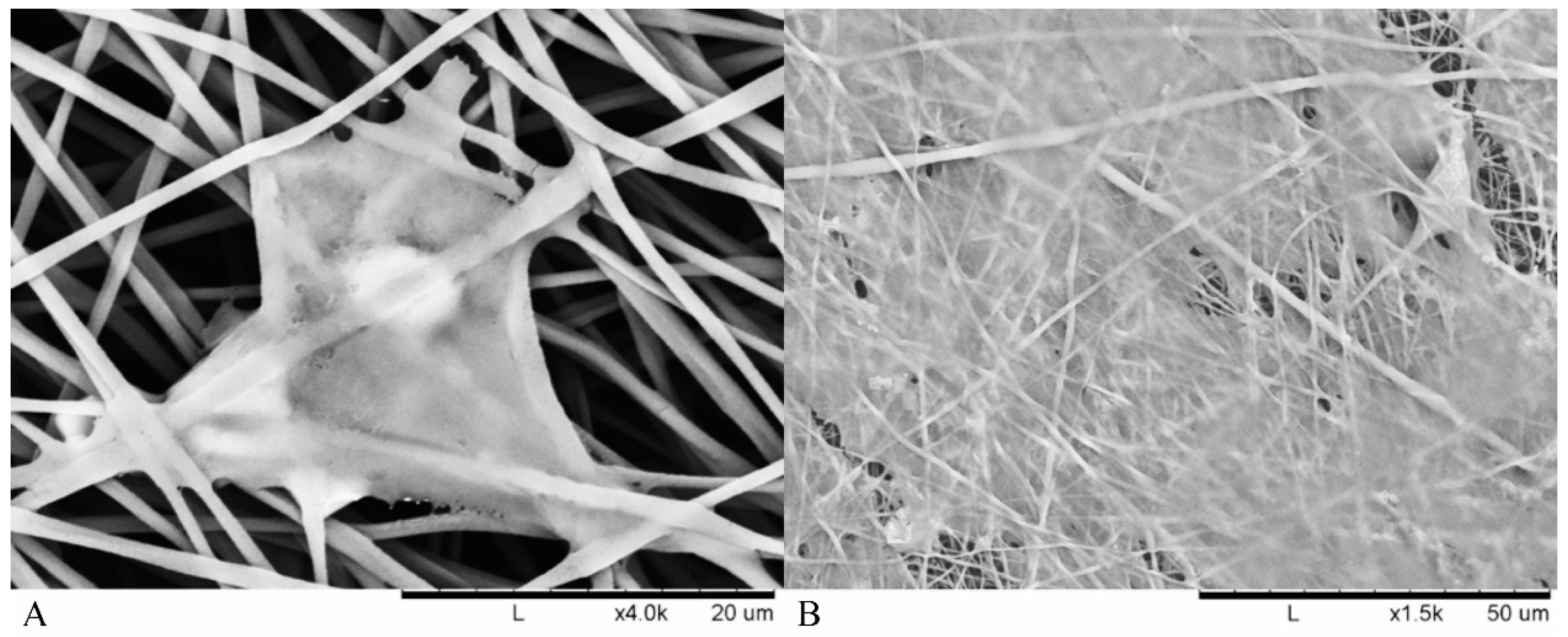 Materials 12 00363 g006