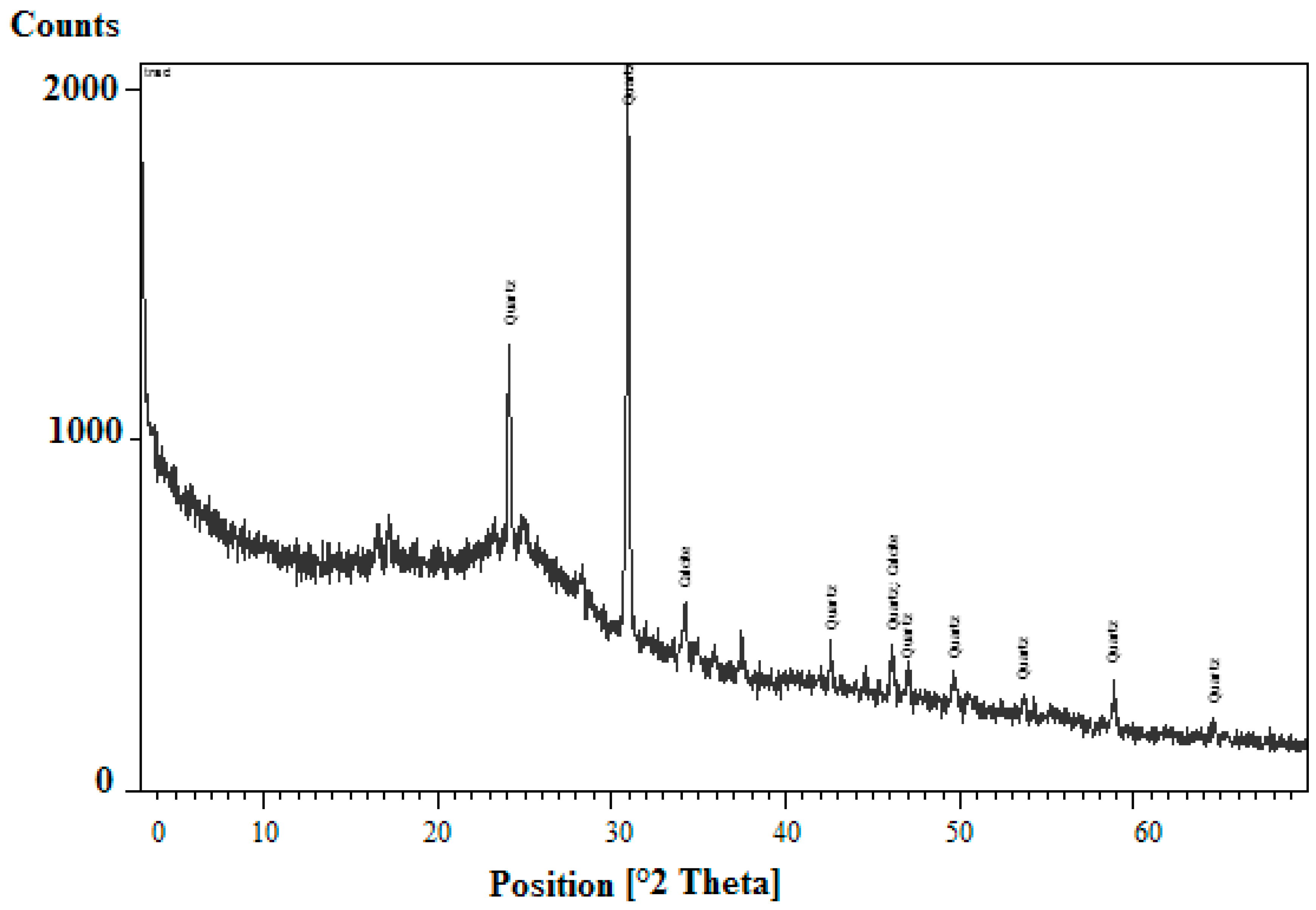 ！ Multi-omics analysis delineates the distinct functions of
