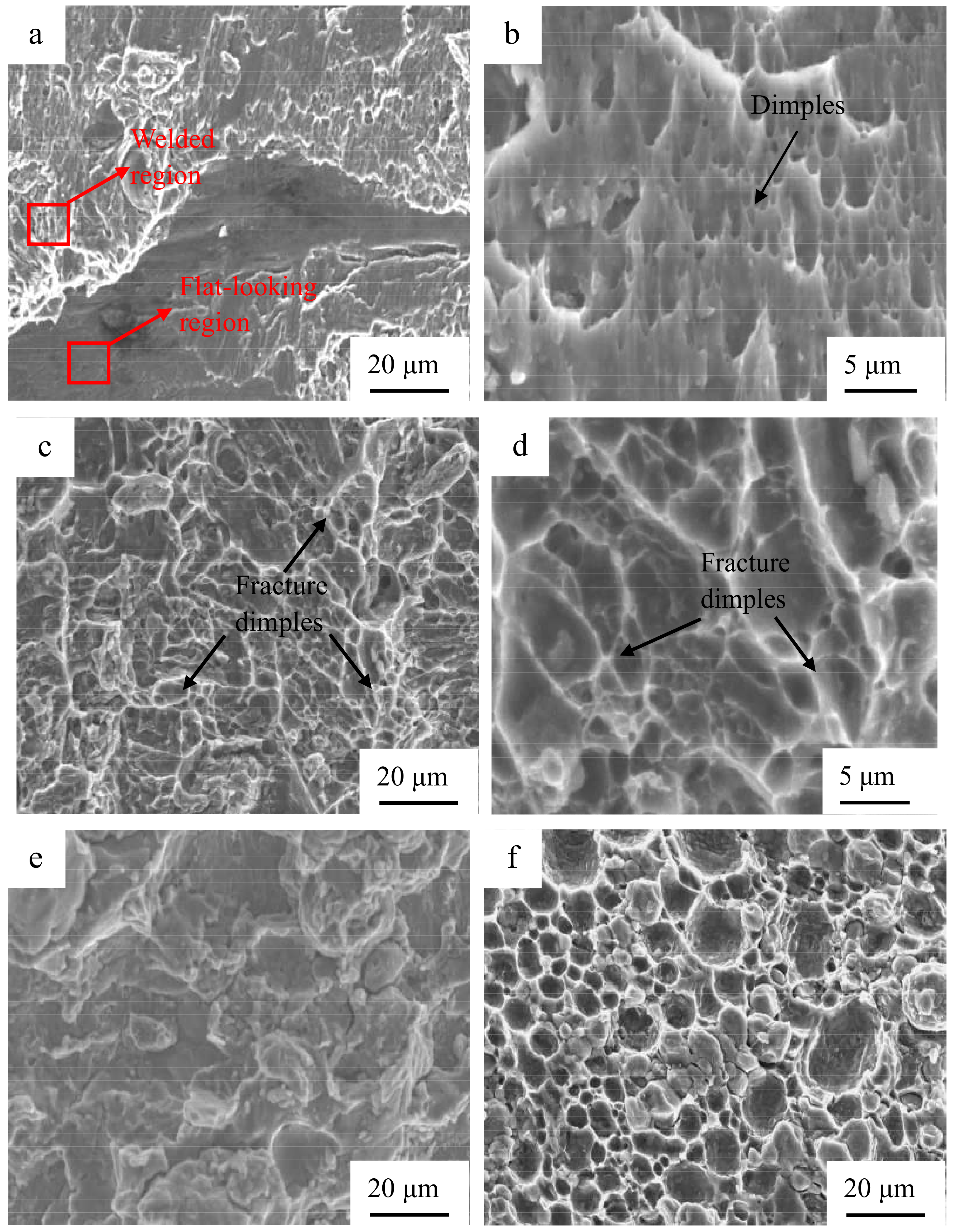Materials 12 00369 g012a 550