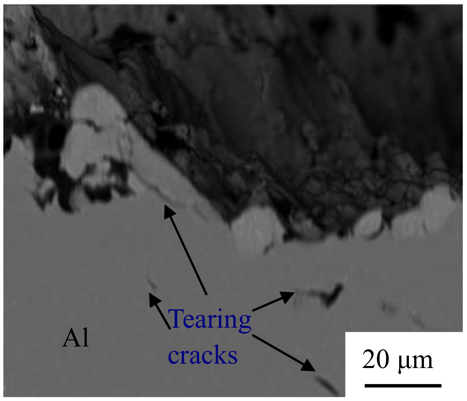 Materials 12 00369 g013 550