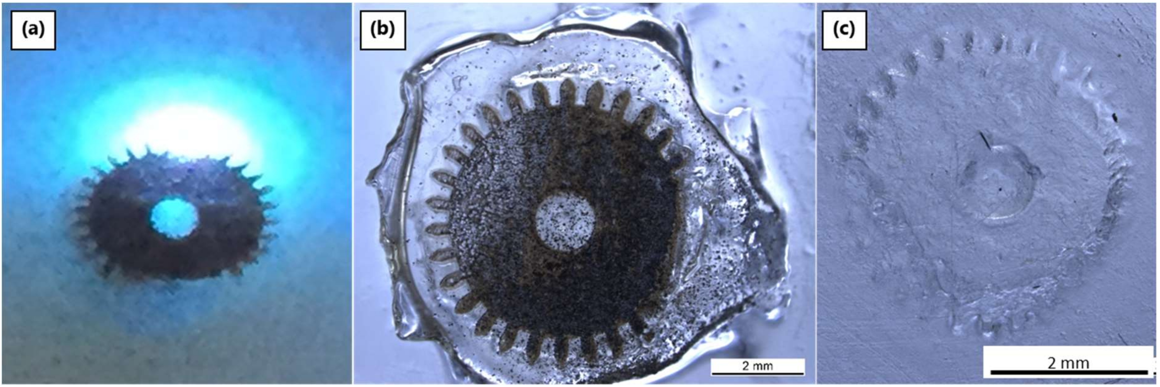 Materials 12 00372 g007 Materials 12 00372 g007