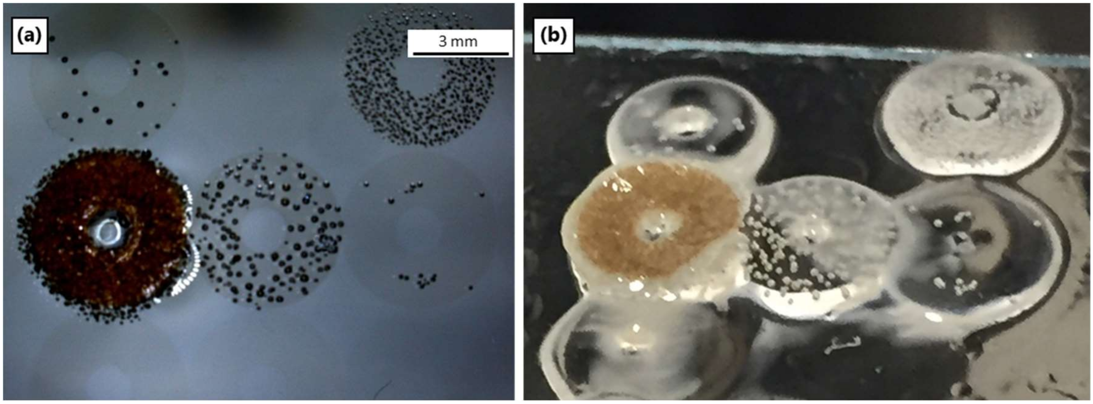 Materials 12 00372 g009 Materials 12 00372 g009