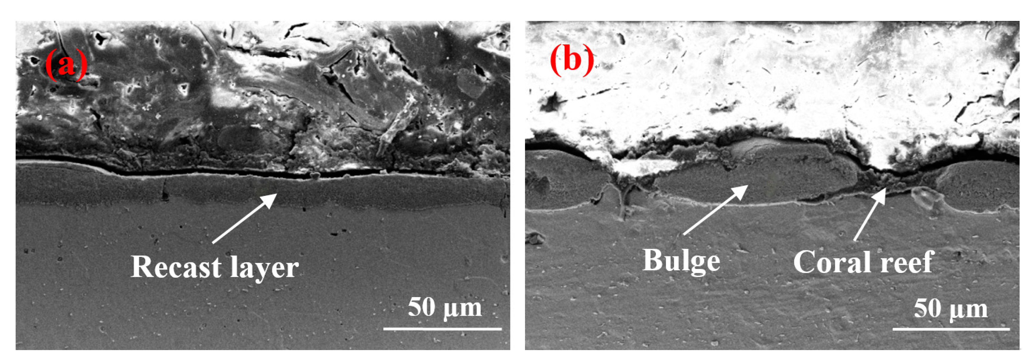 Materials 12 00388 g007 550