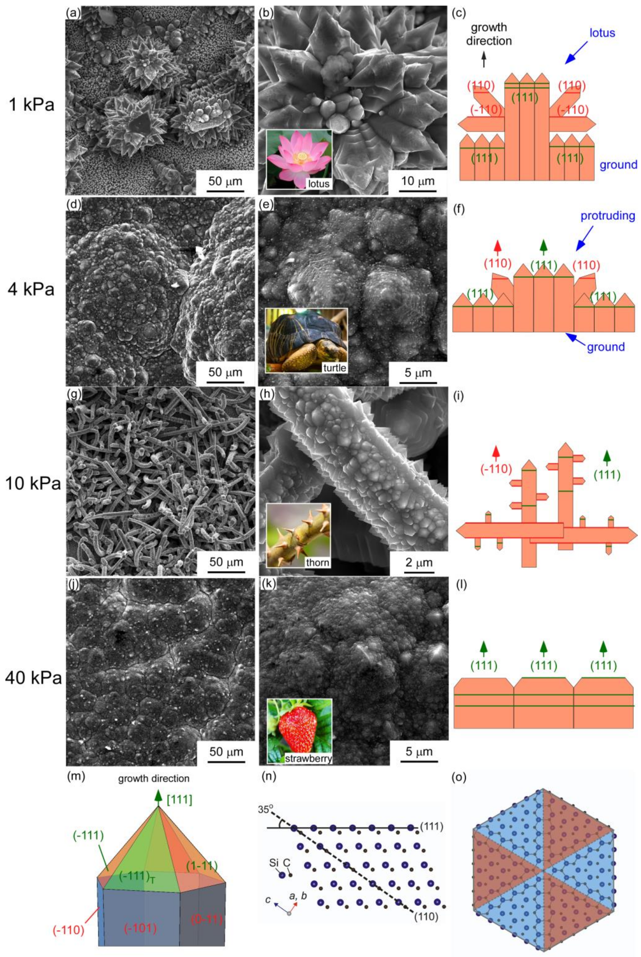 Materials 12 00390 g004