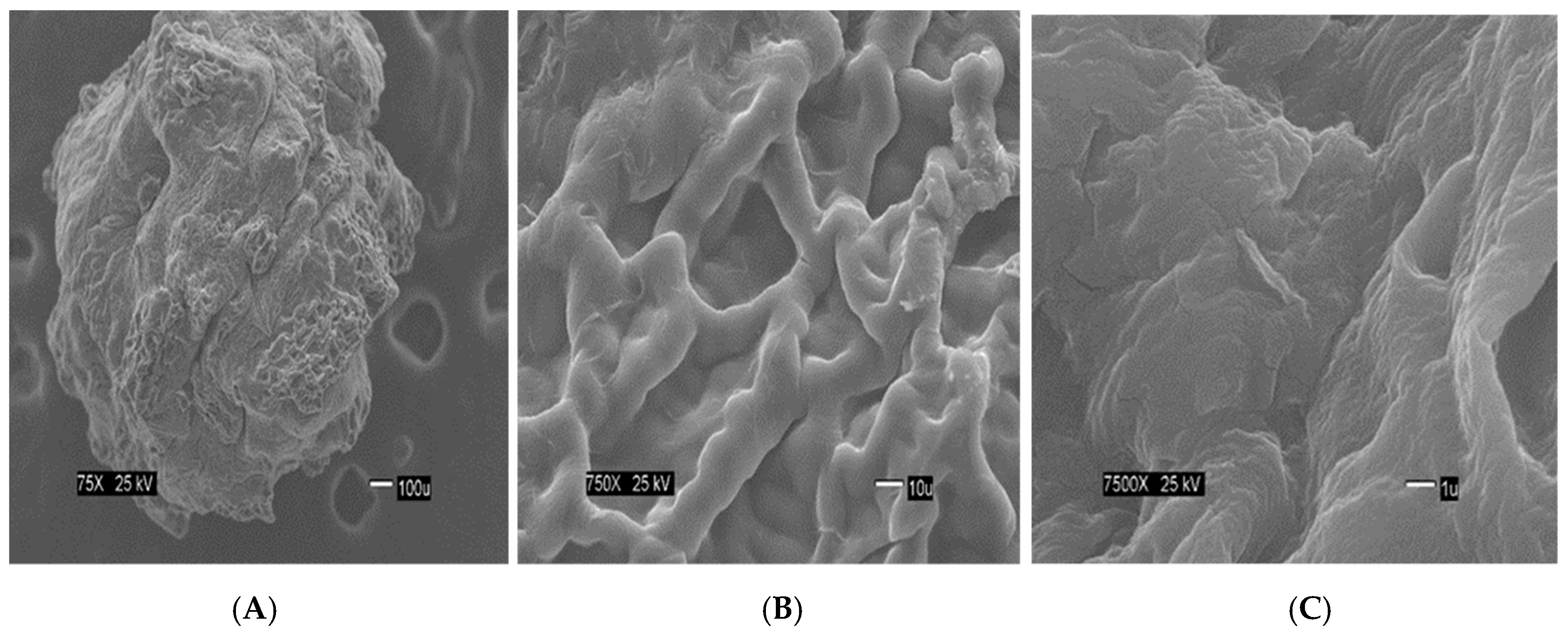 Materials 12 00395 g004