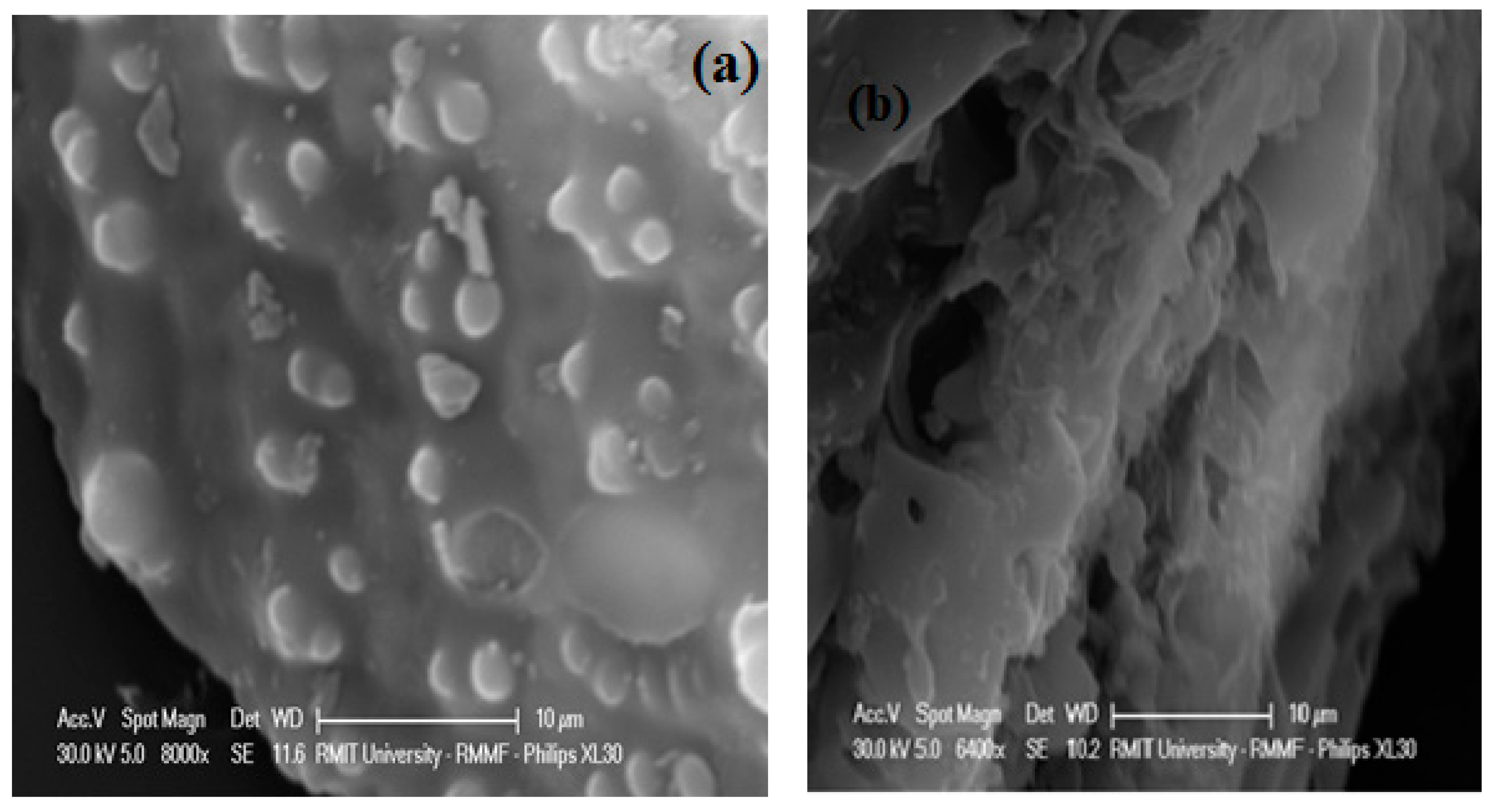 Materials 12 00403 g007 Materials 12 00403 g007