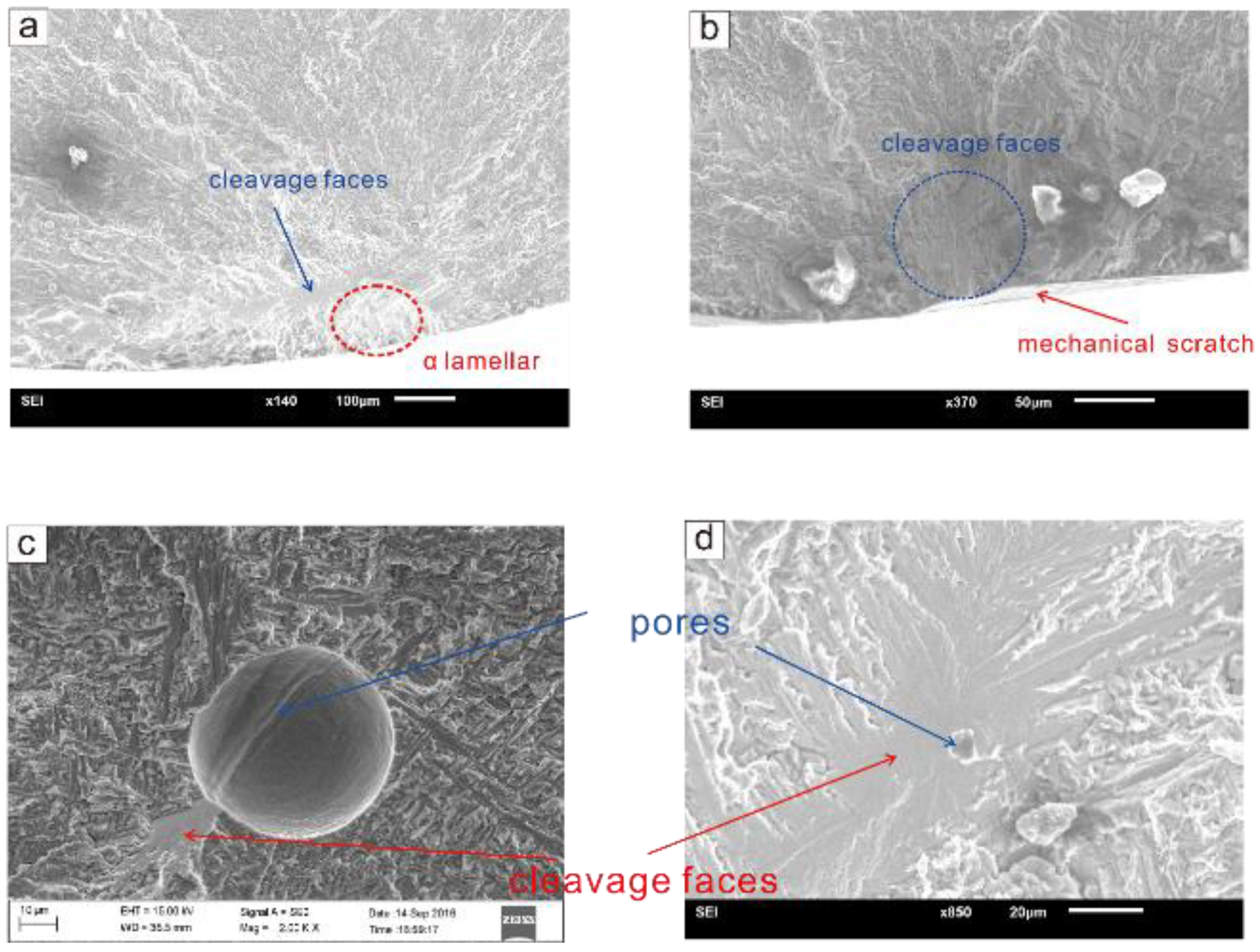 Materials 12 00418 g005 Materials 12 00418 g005