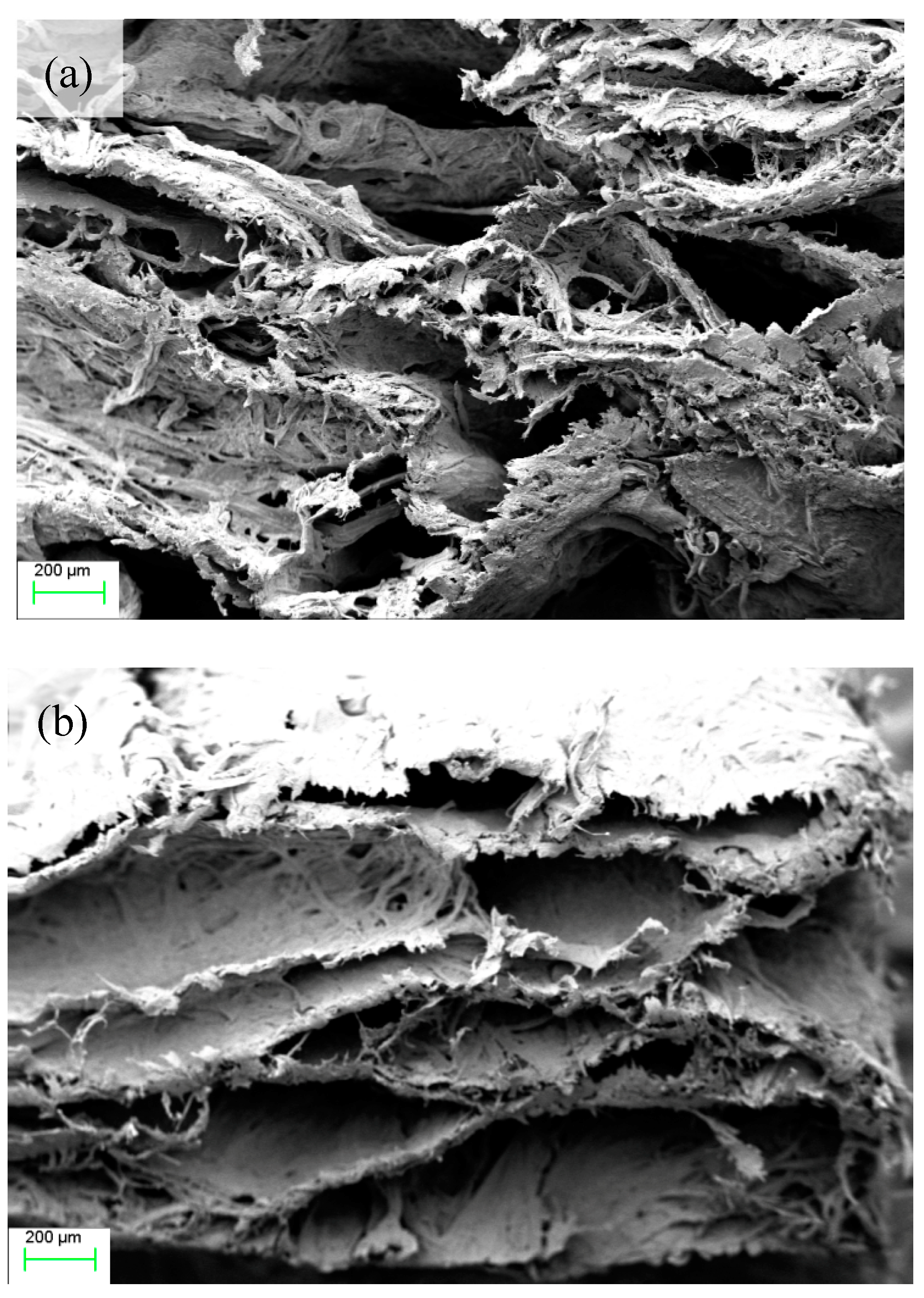 Materials 12 00420 g010 550