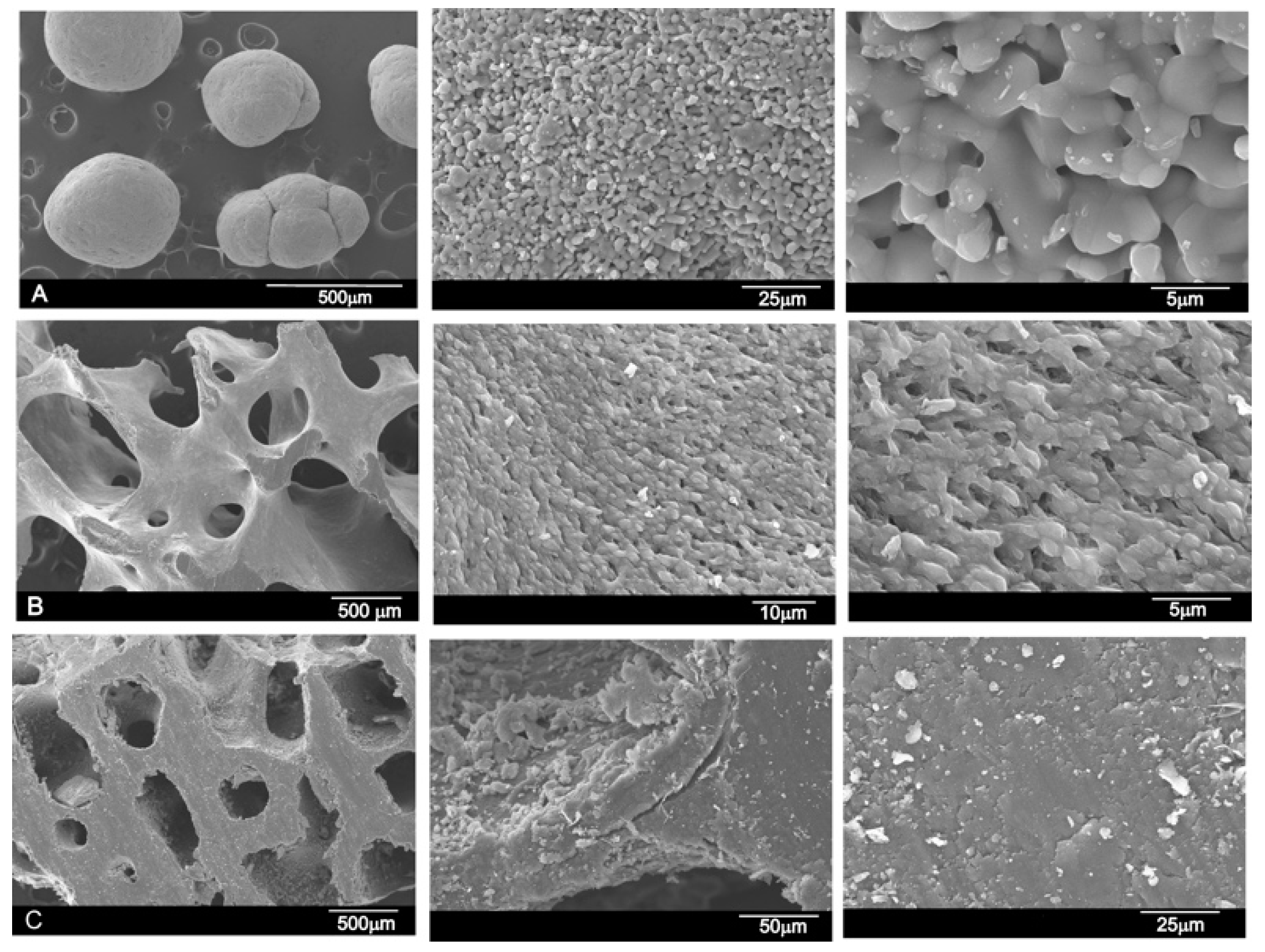 Materials 12 00452 g002