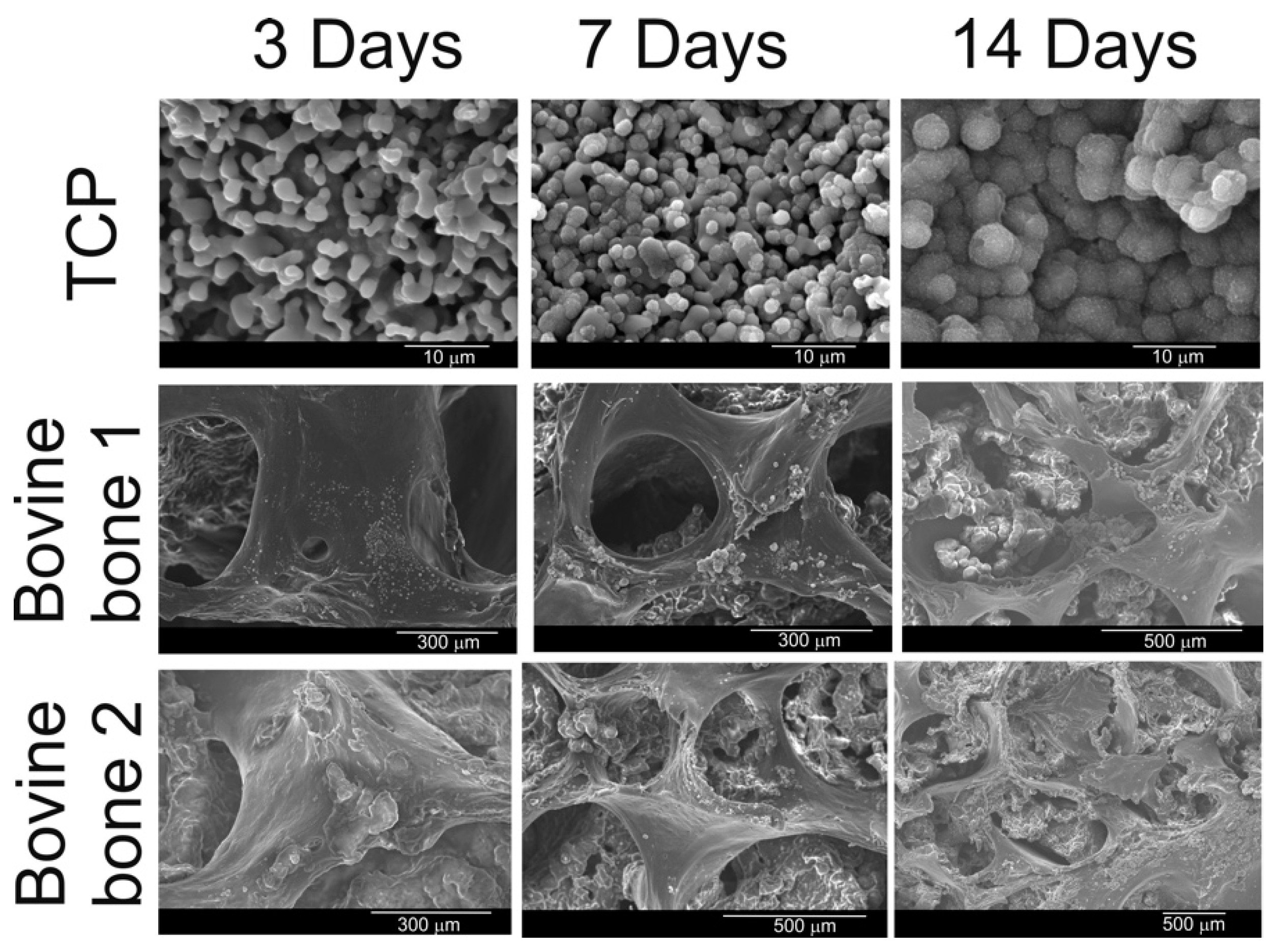 Materials 12 00452 g008