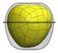 Materials 12 00467 i009