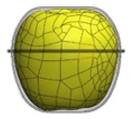 Materials 12 00467 i021