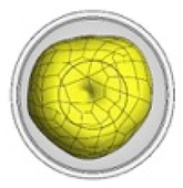 Materials 12 00467 i032