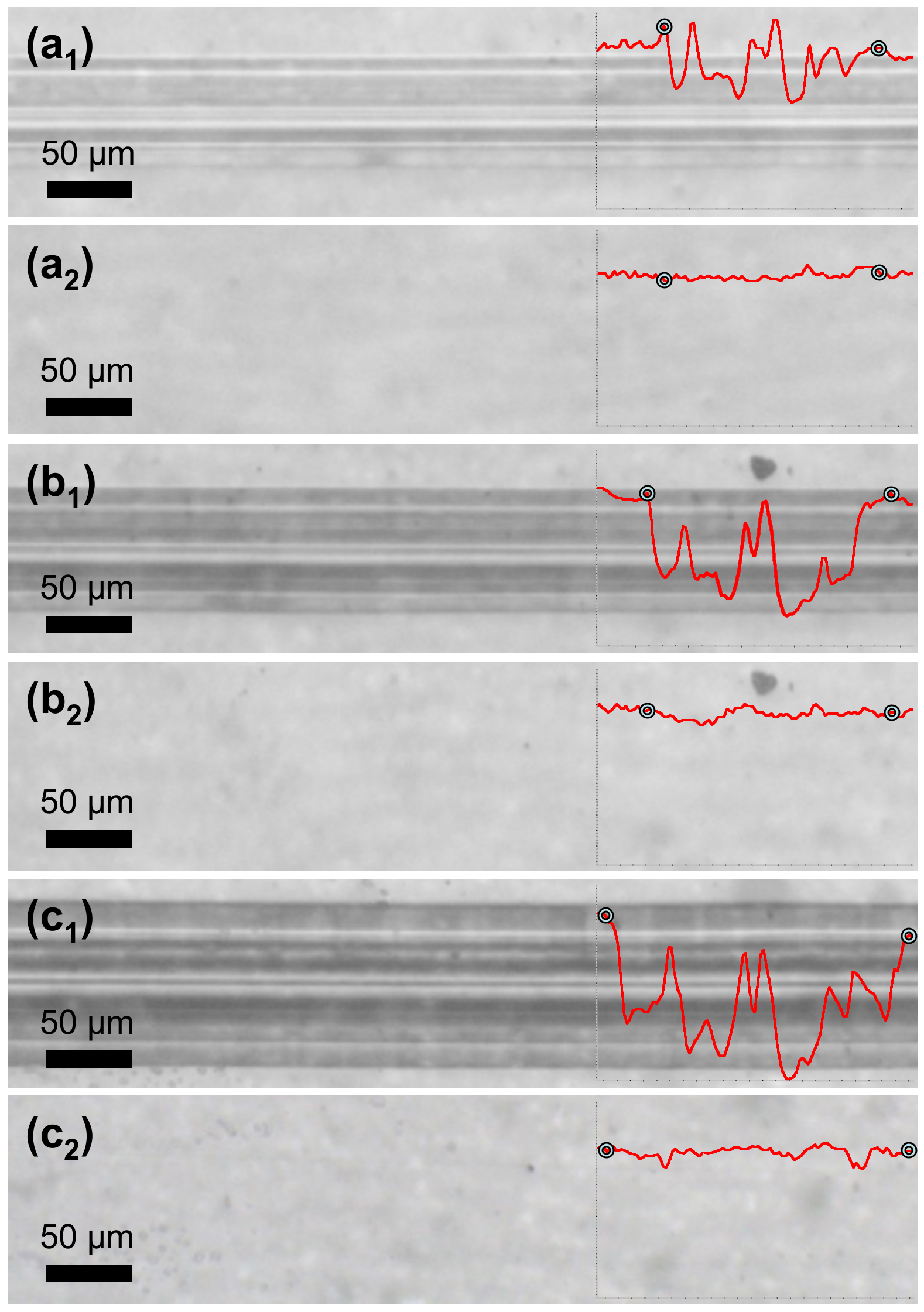 Materials 12 00482 g008 550