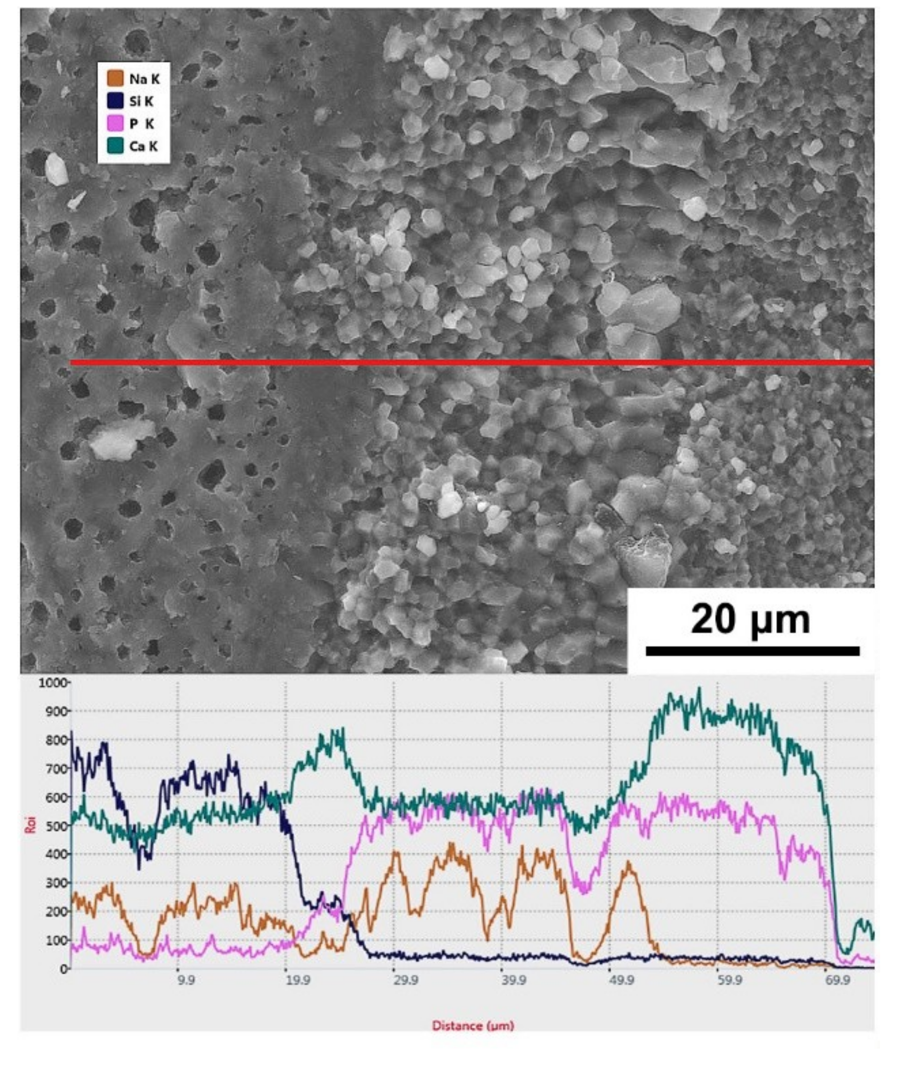 Materials 12 00484 g005