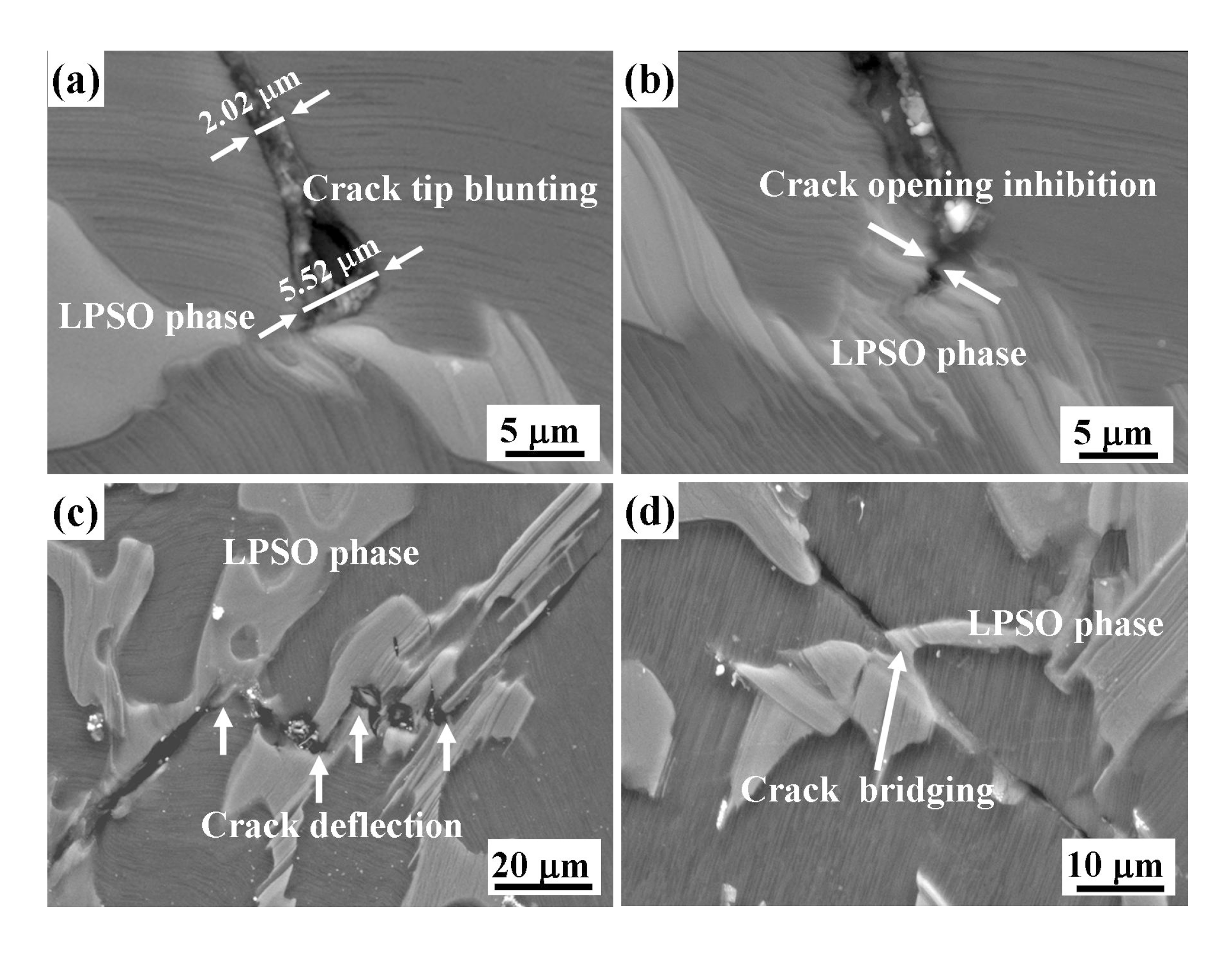 Materials 12 00498 g005