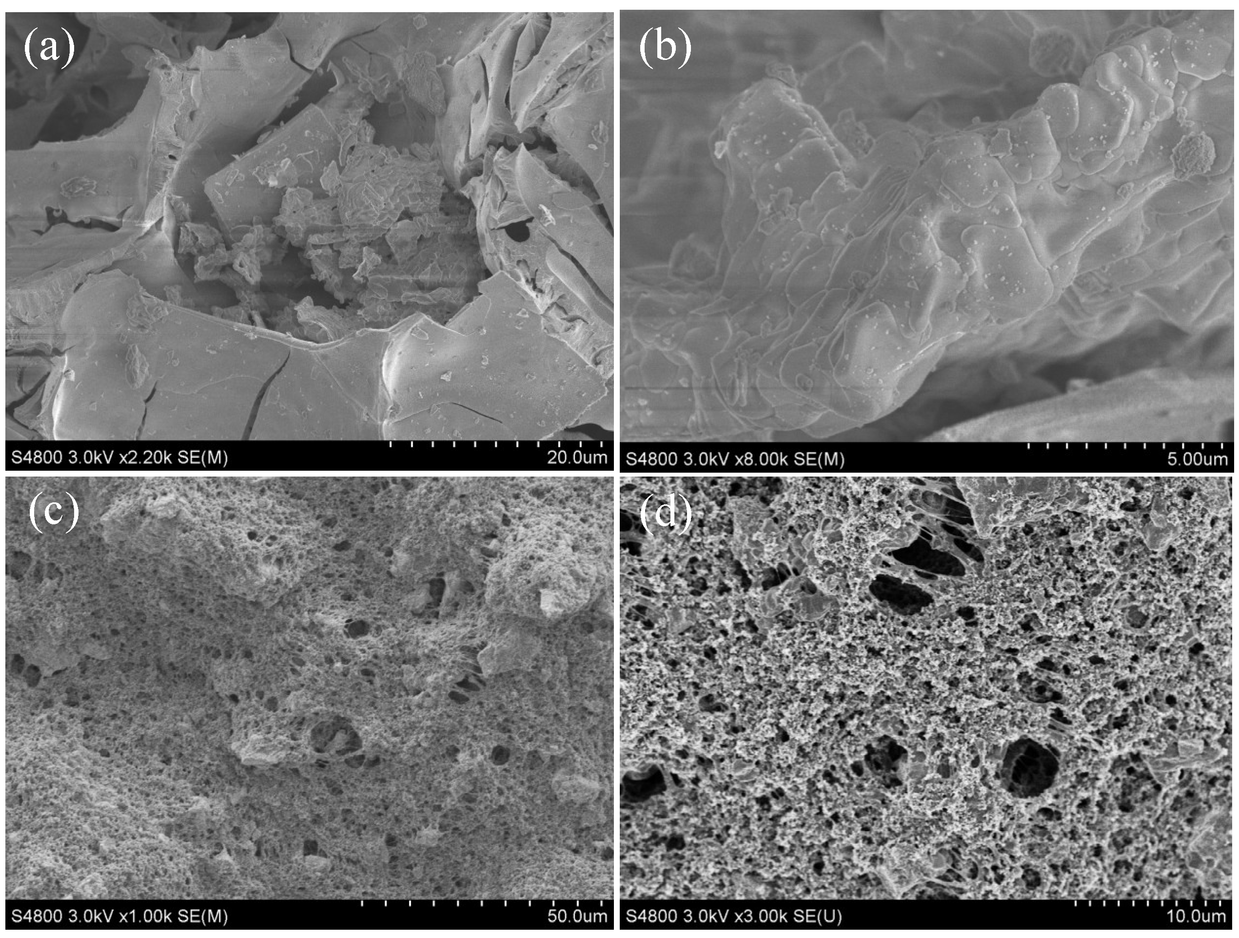 Materials 12 00511 g009