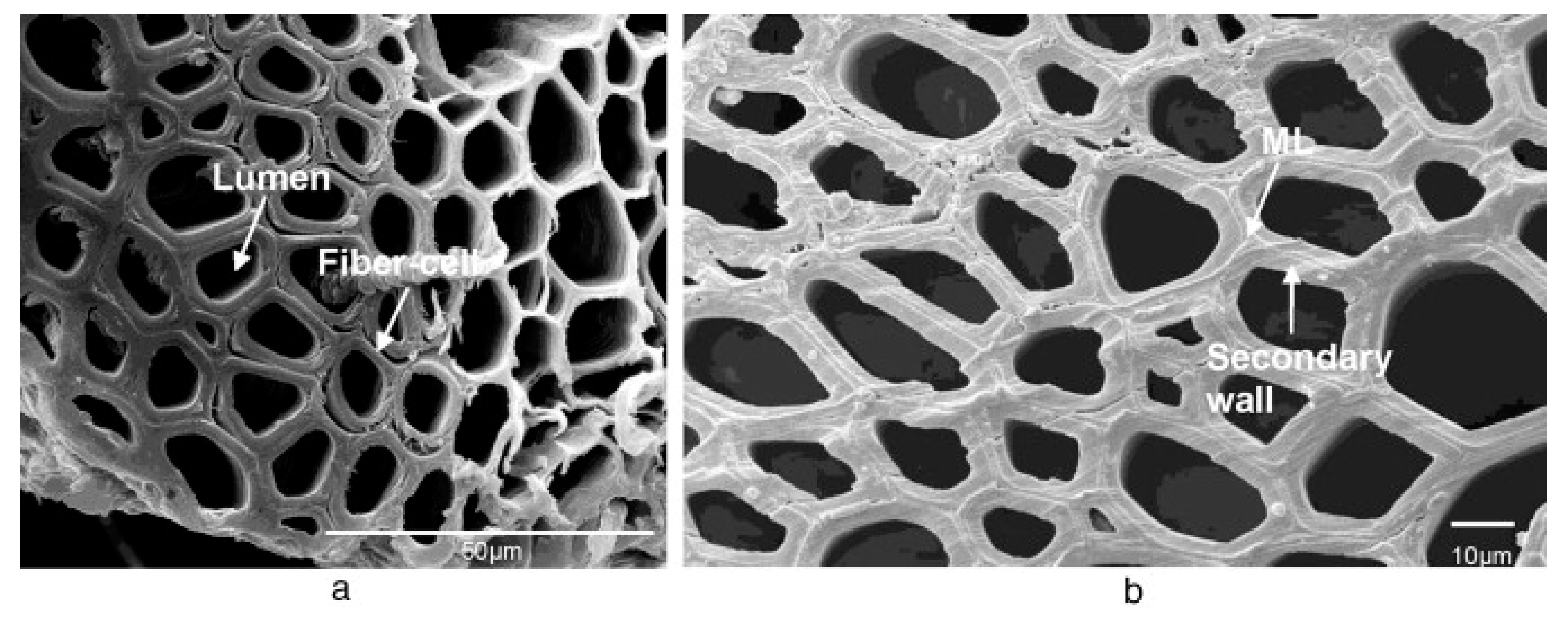 Materials 12 00517 g001