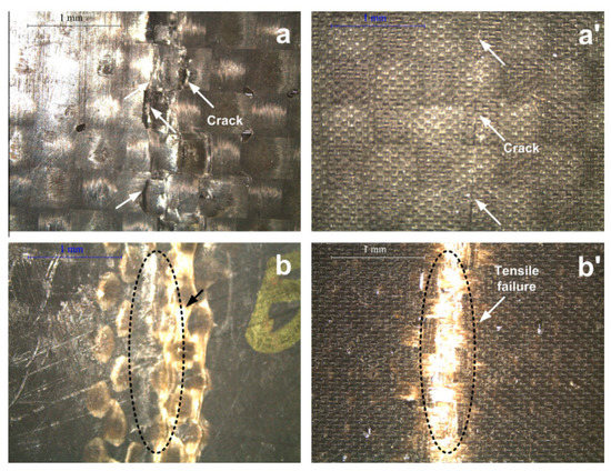 Mechanical and Impact Damage Analysis on Carbon/Natural Fibers Hybrid ...