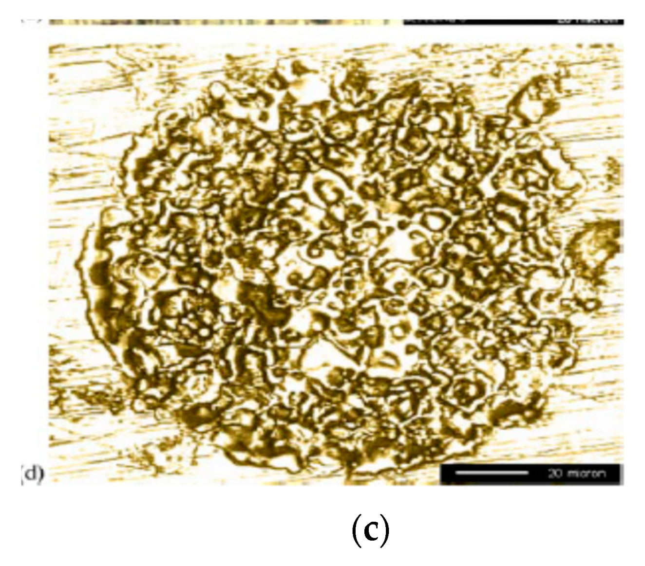 Materials 12 00522 g034b