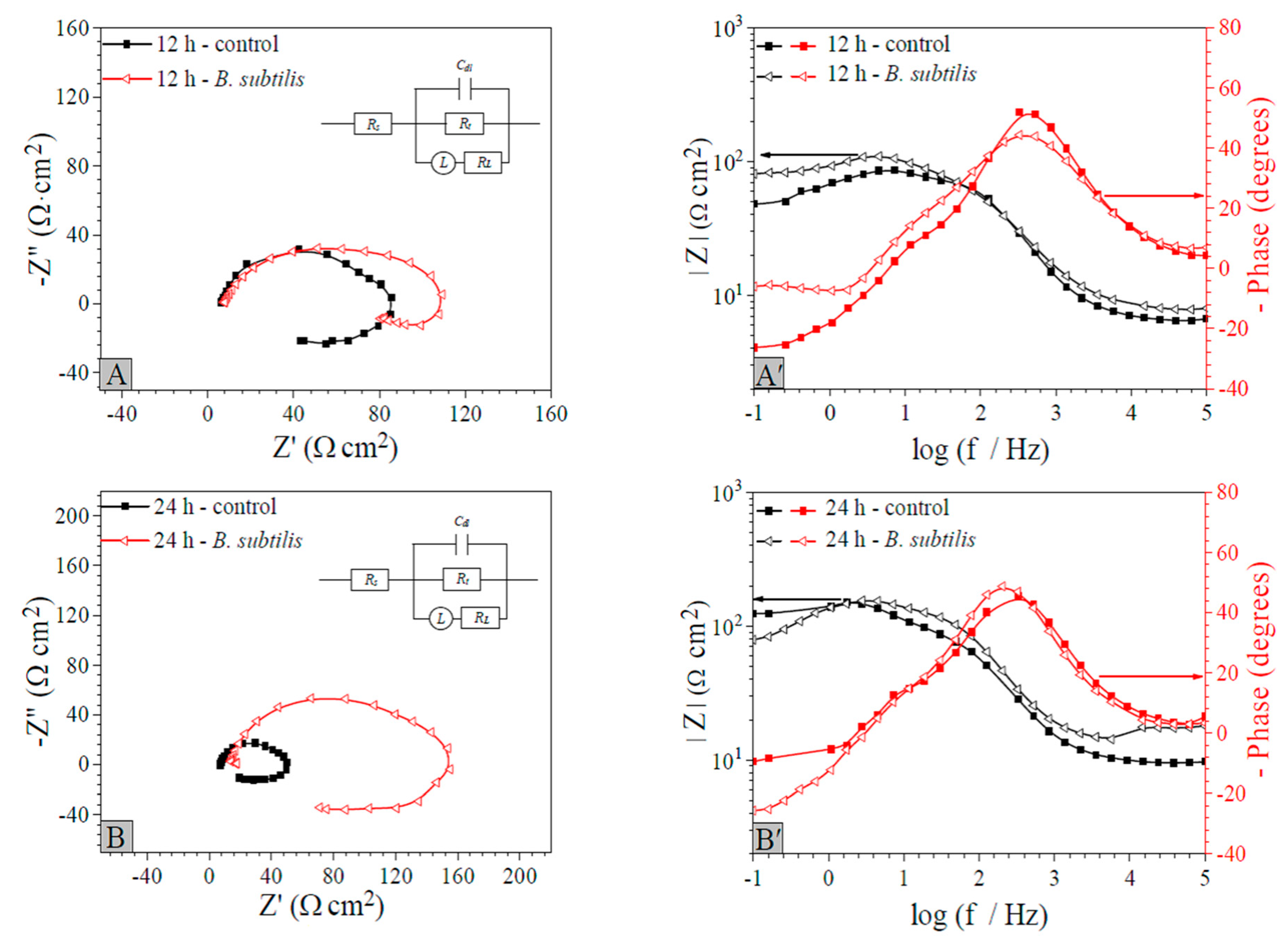 Materials 12 00523 g005a 550
