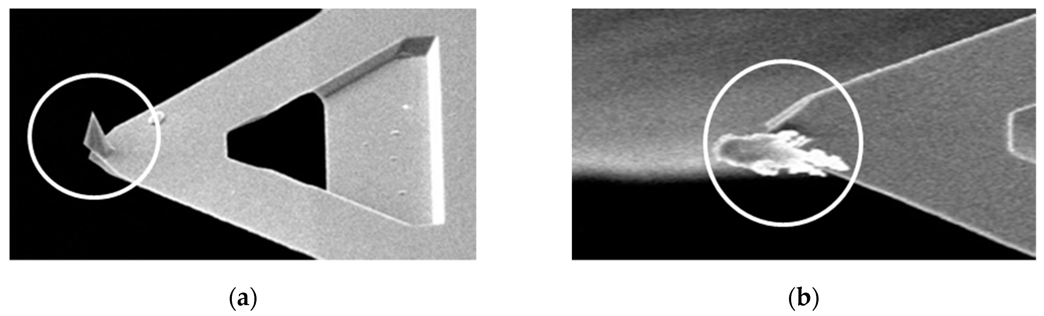 Materials 12 00529 g008 550