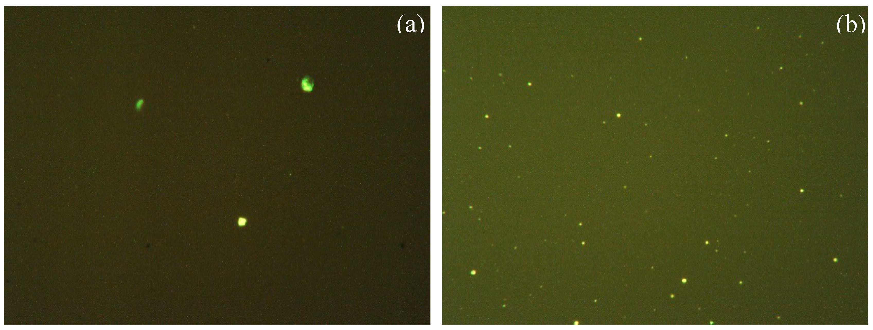 Materials 12 00530 g015a Materials 12 00530 g015a