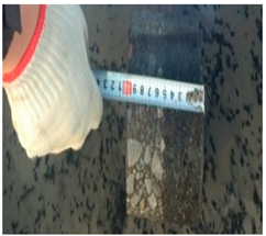 Materials 12 00530 i002 Materials 12 00530 i002