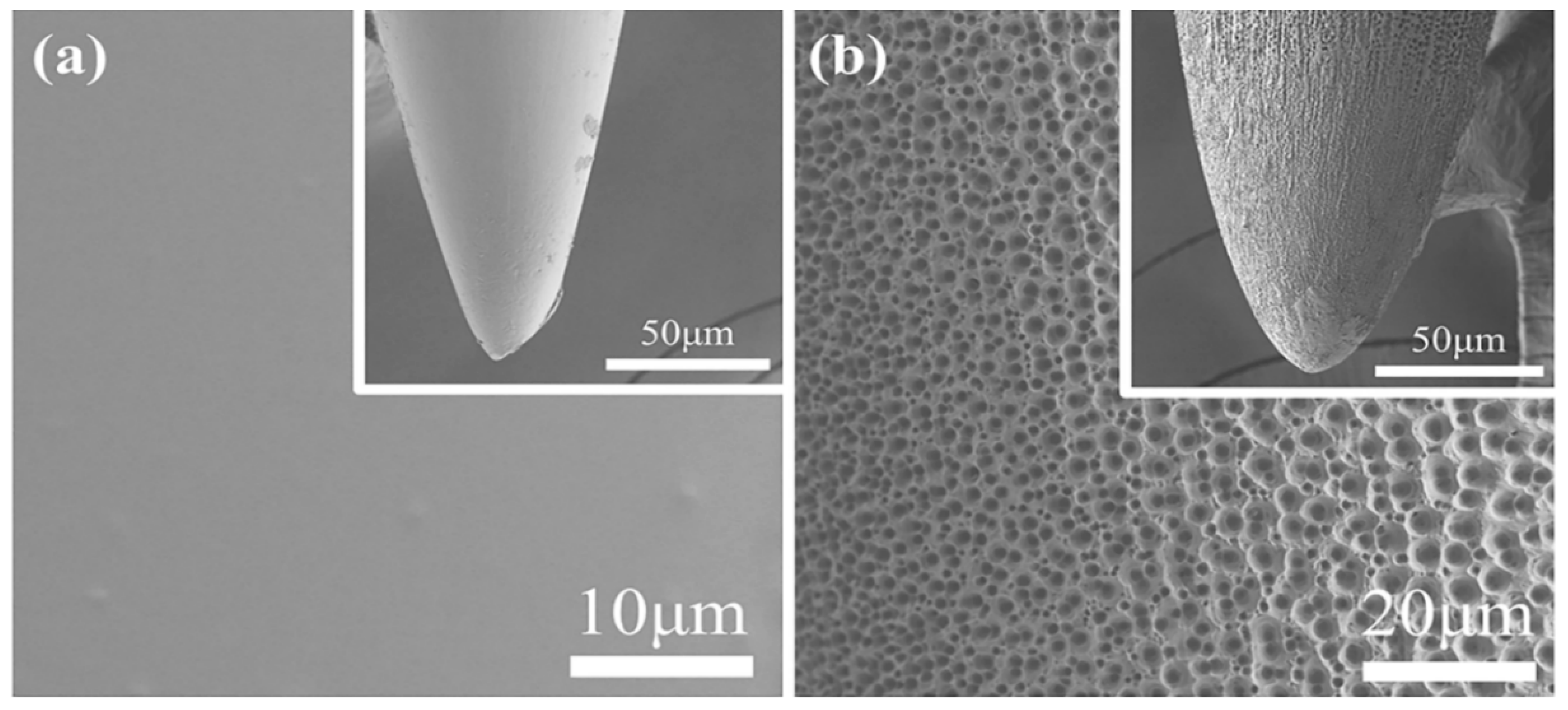 Materials 12 00542 g003 Materials 12 00542 g003