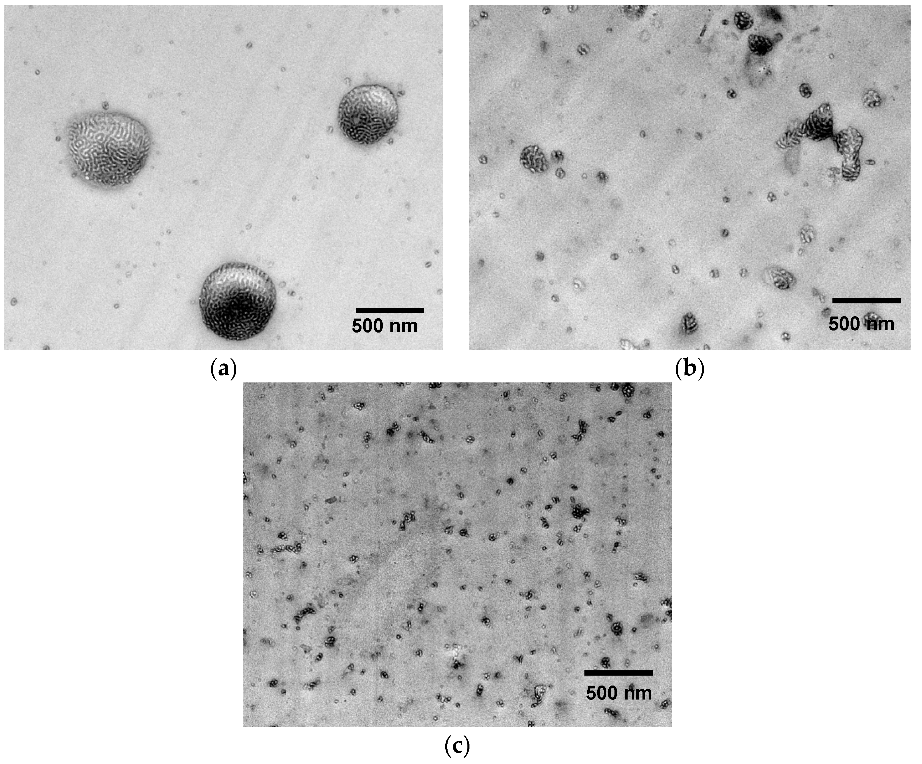Materials 12 00548 g006 Materials 12 00548 g006