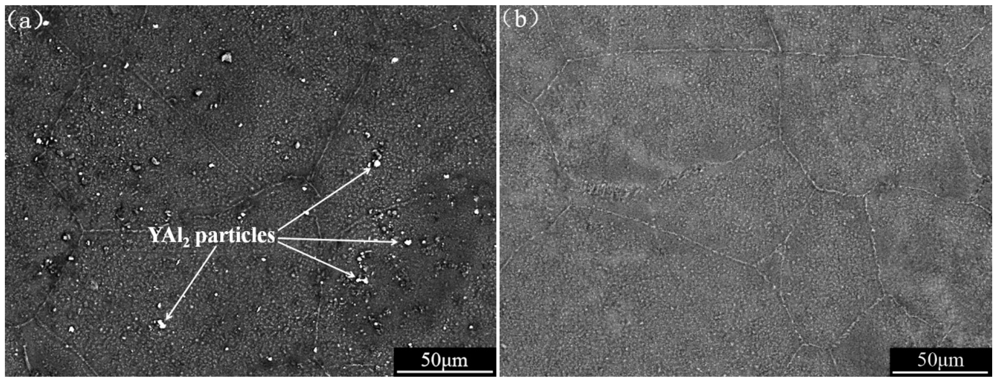 Materials 12 00549 g001 Materials 12 00549 g001