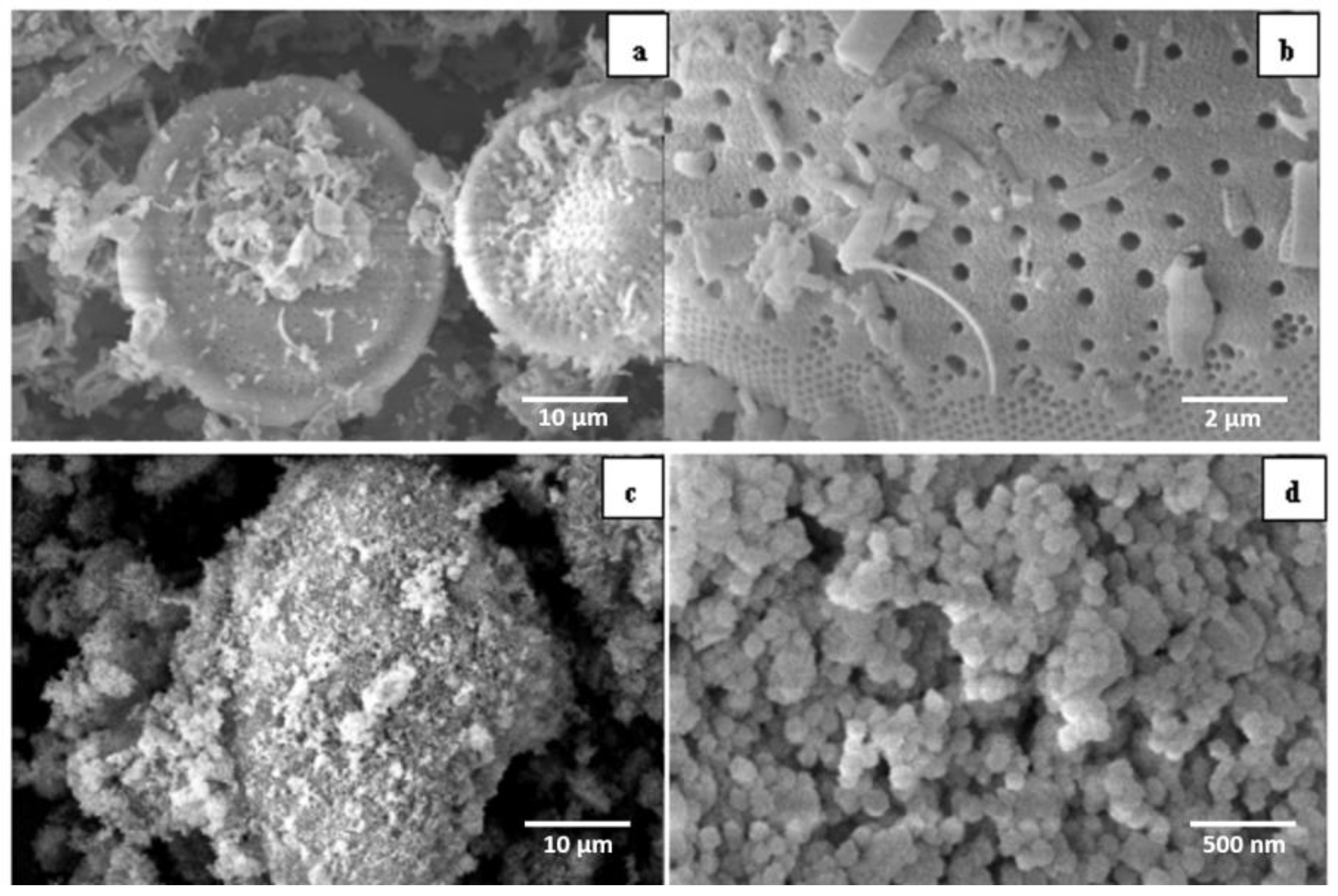 Materials 12 00551 g002 Materials 12 00551 g002