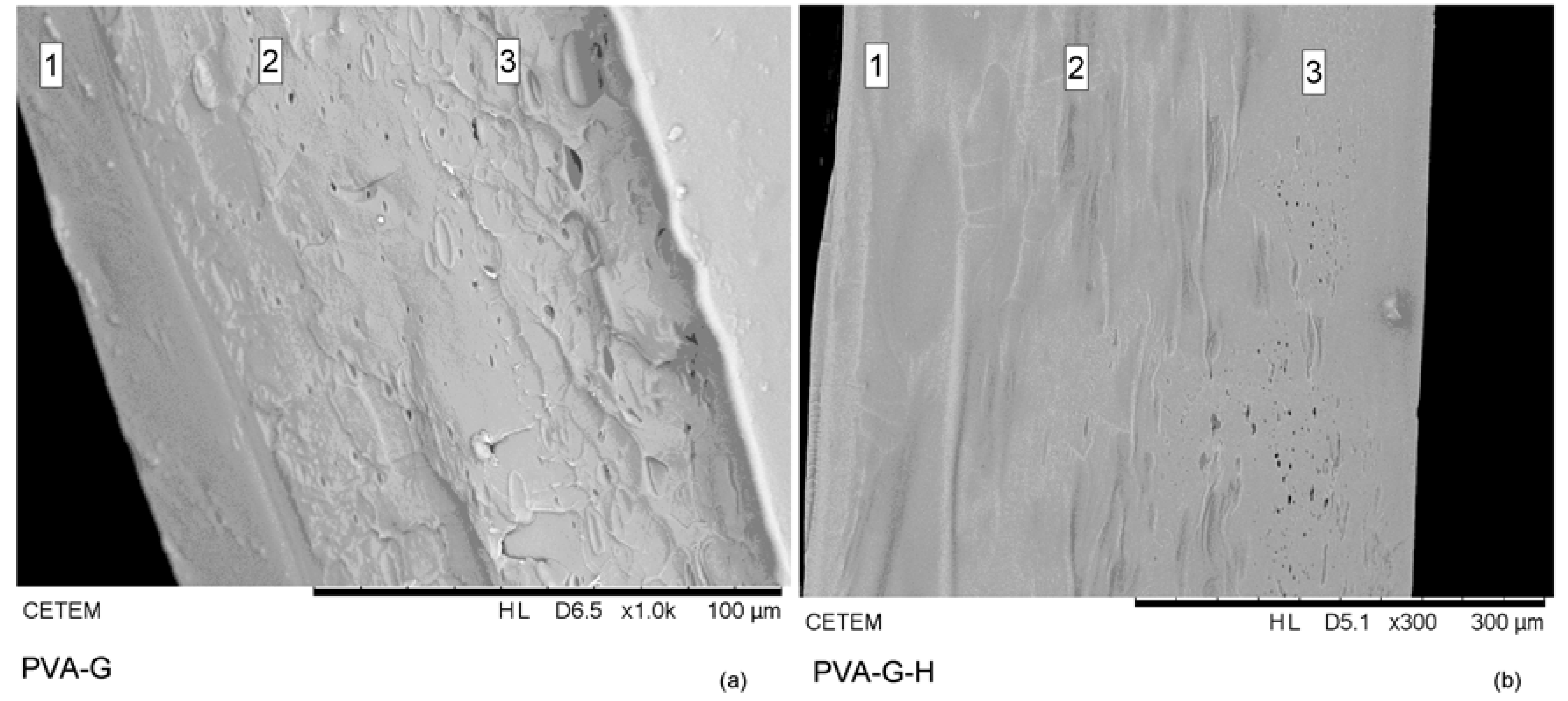 Materials 12 00559 g005