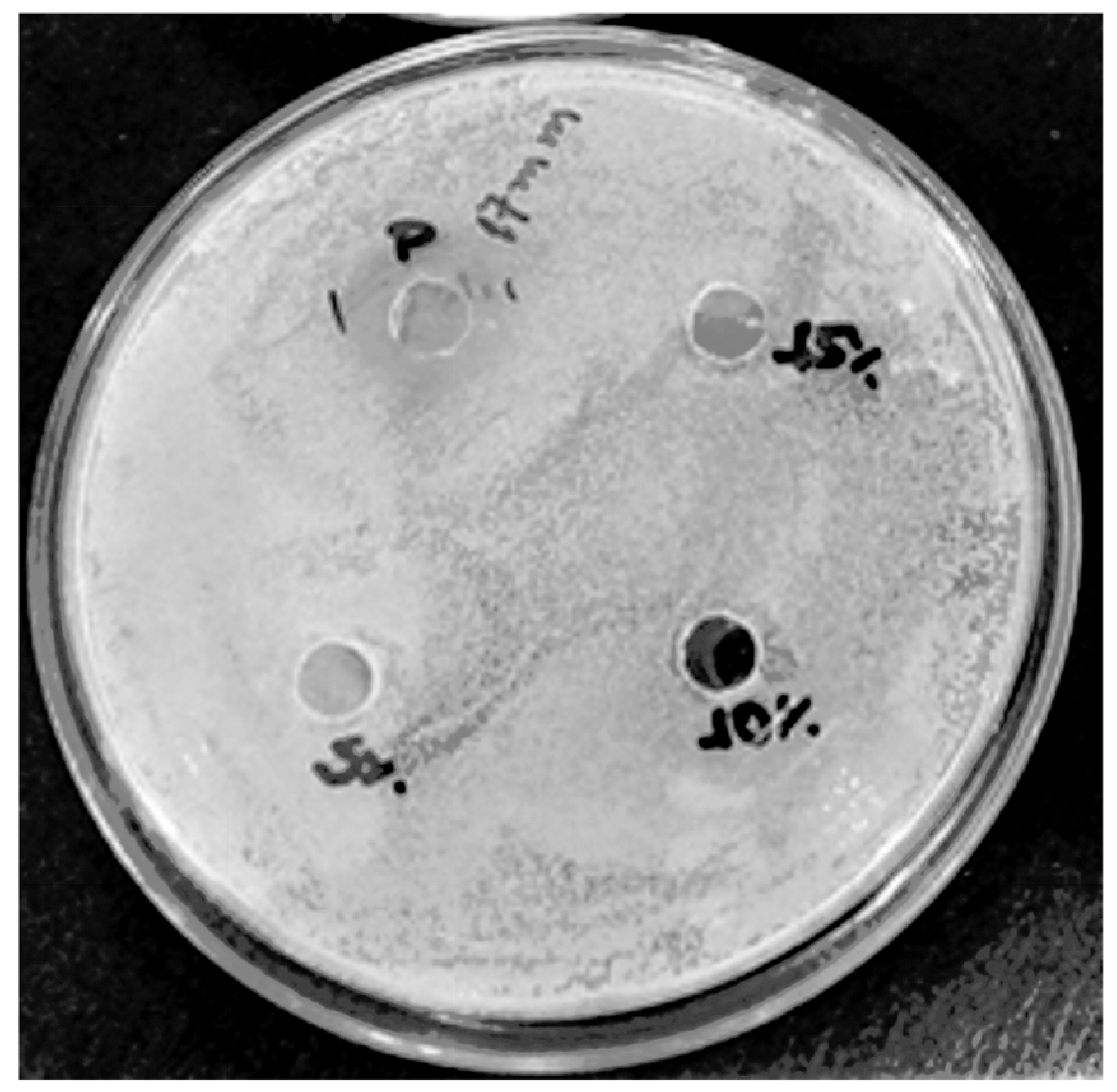 Materials 12 00559 g006