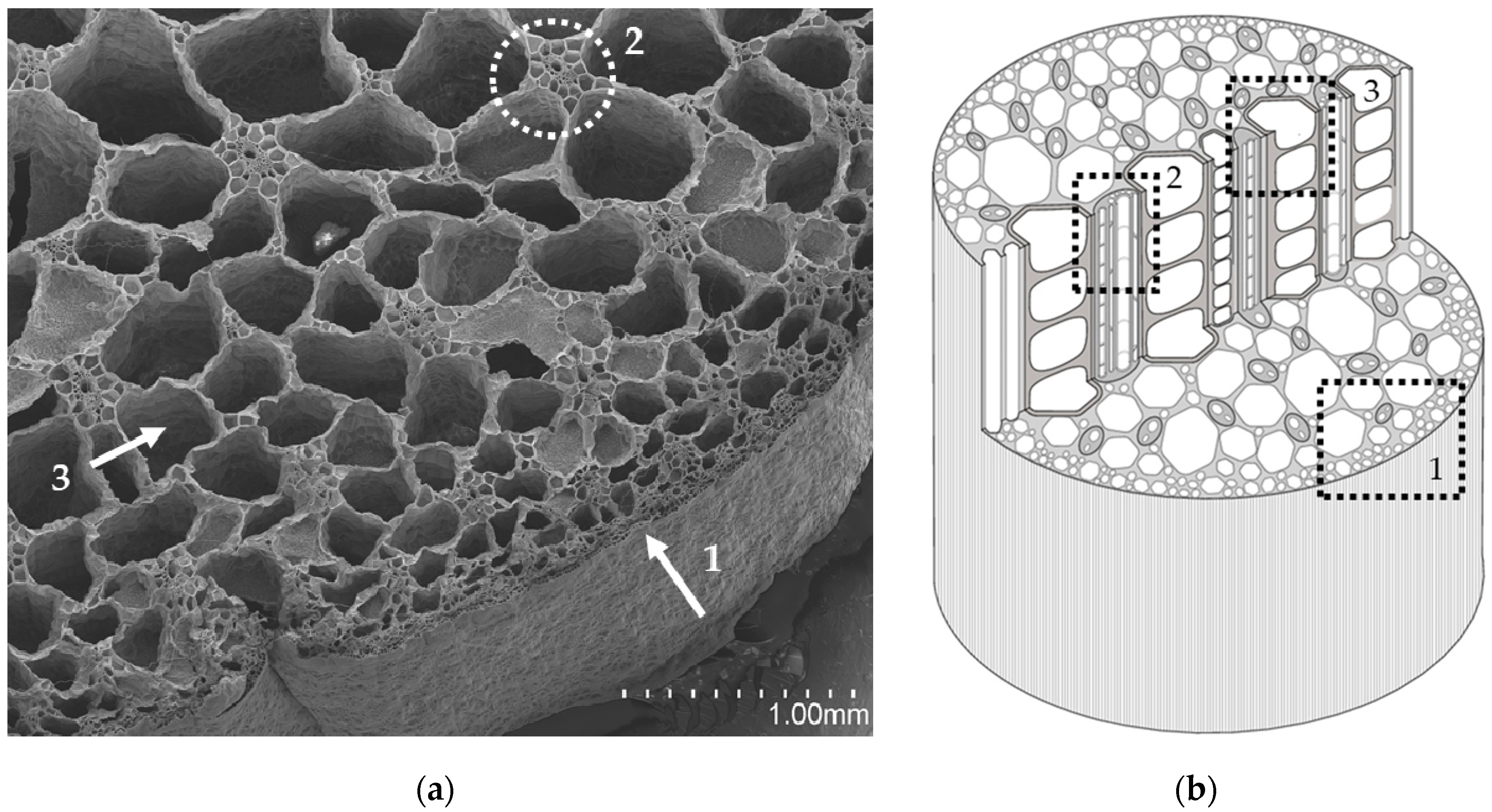 Materials 12 00560 g003