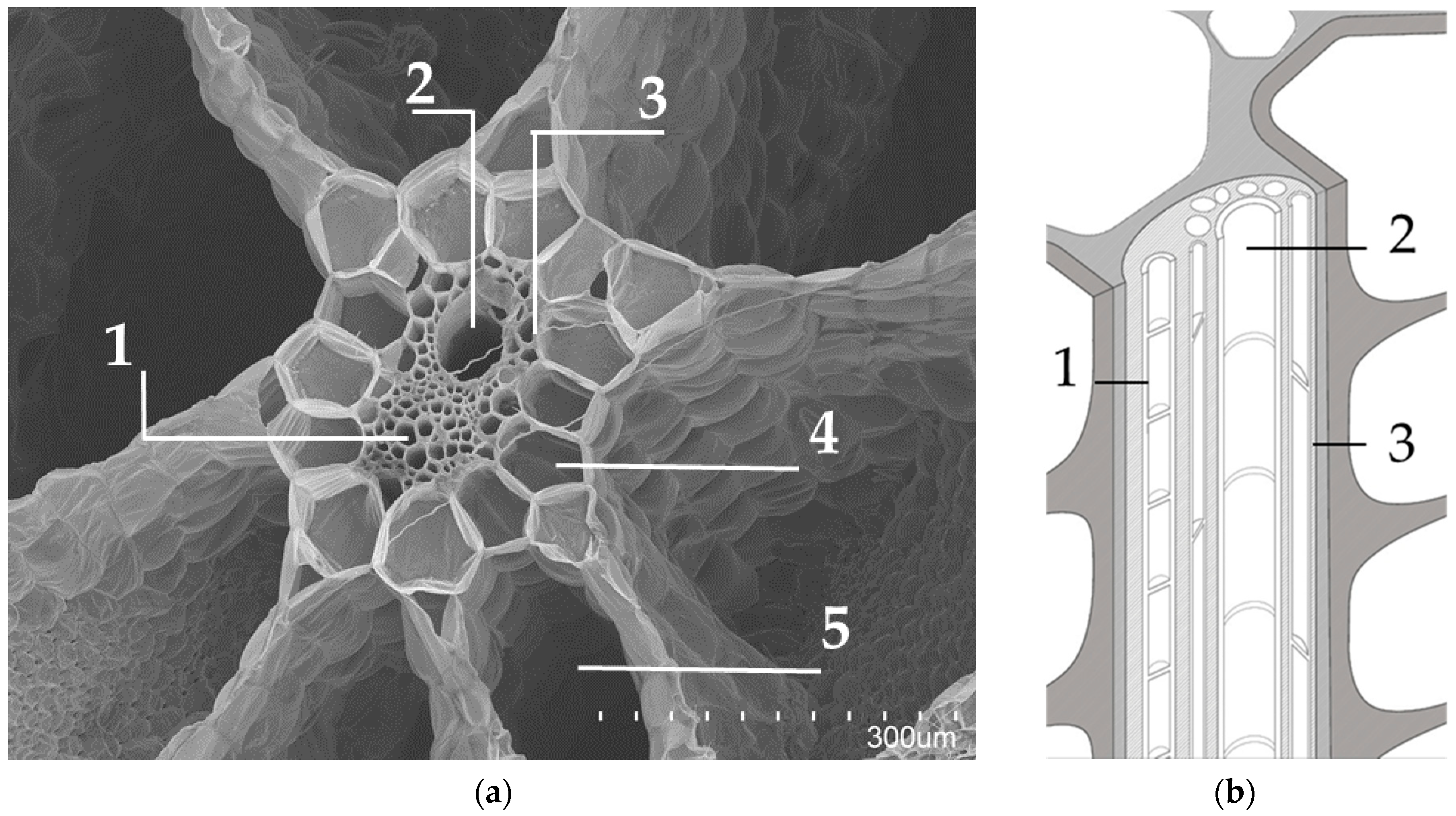 Materials 12 00560 g004